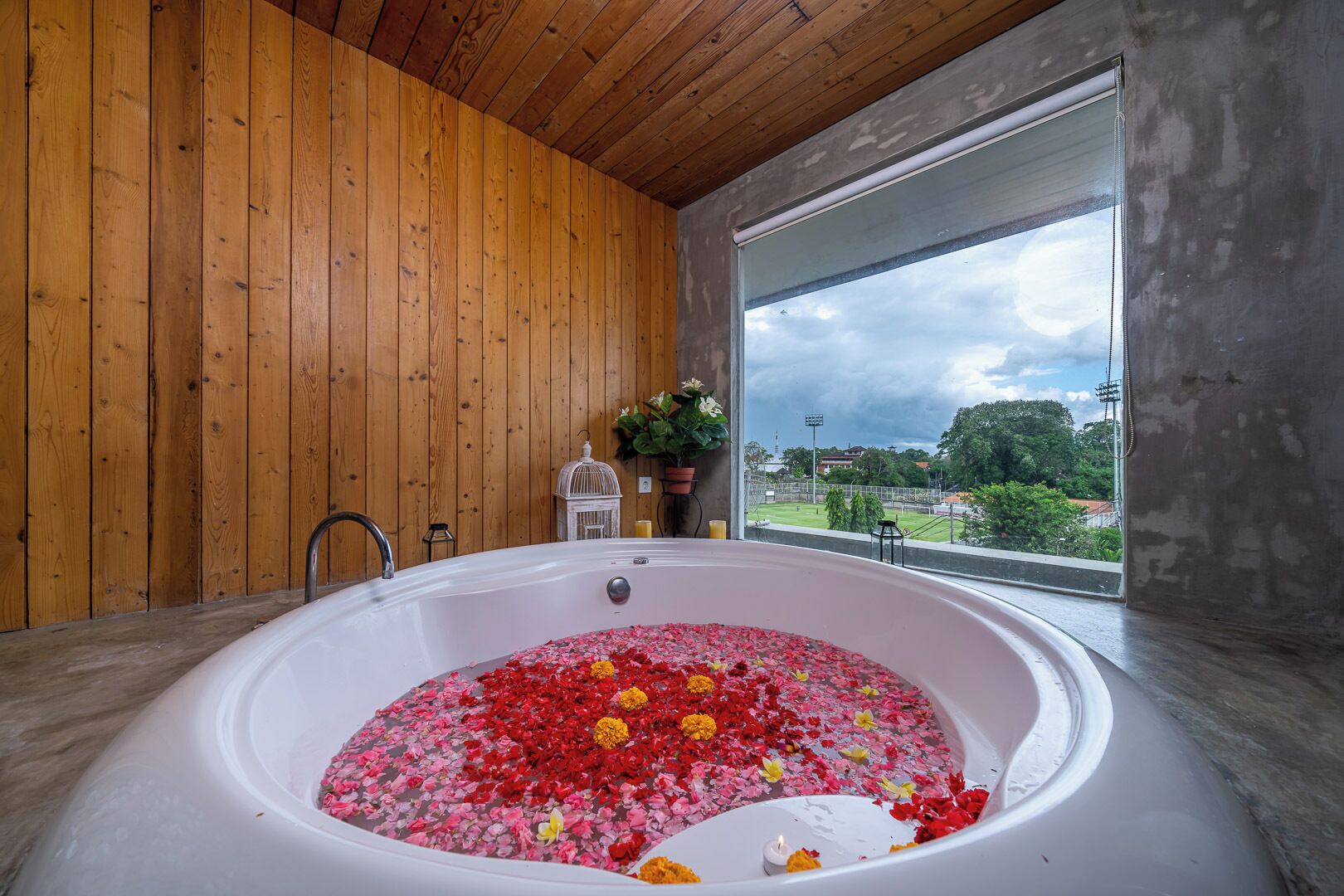 Bliss Surfer Hotel