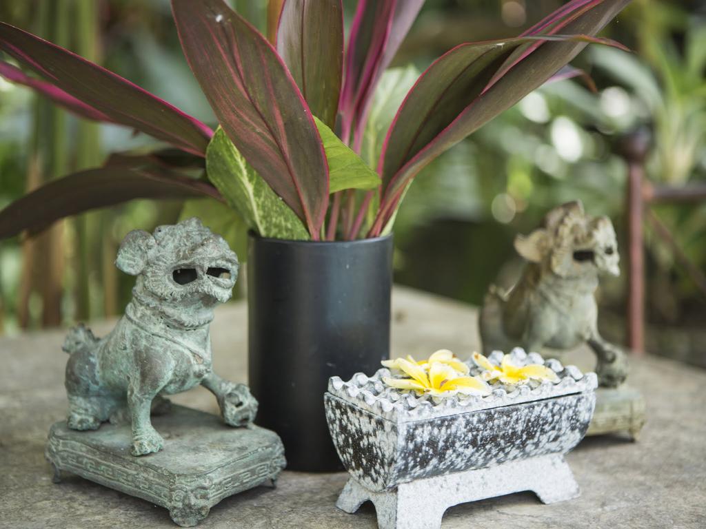 Citrus Tree Villas - Layla