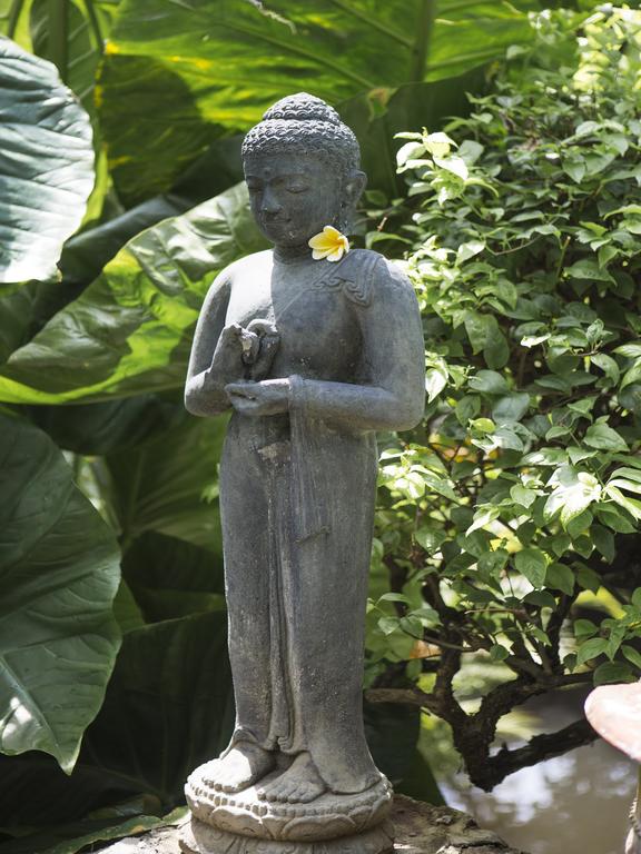 Citrus Tree Villas - Layla