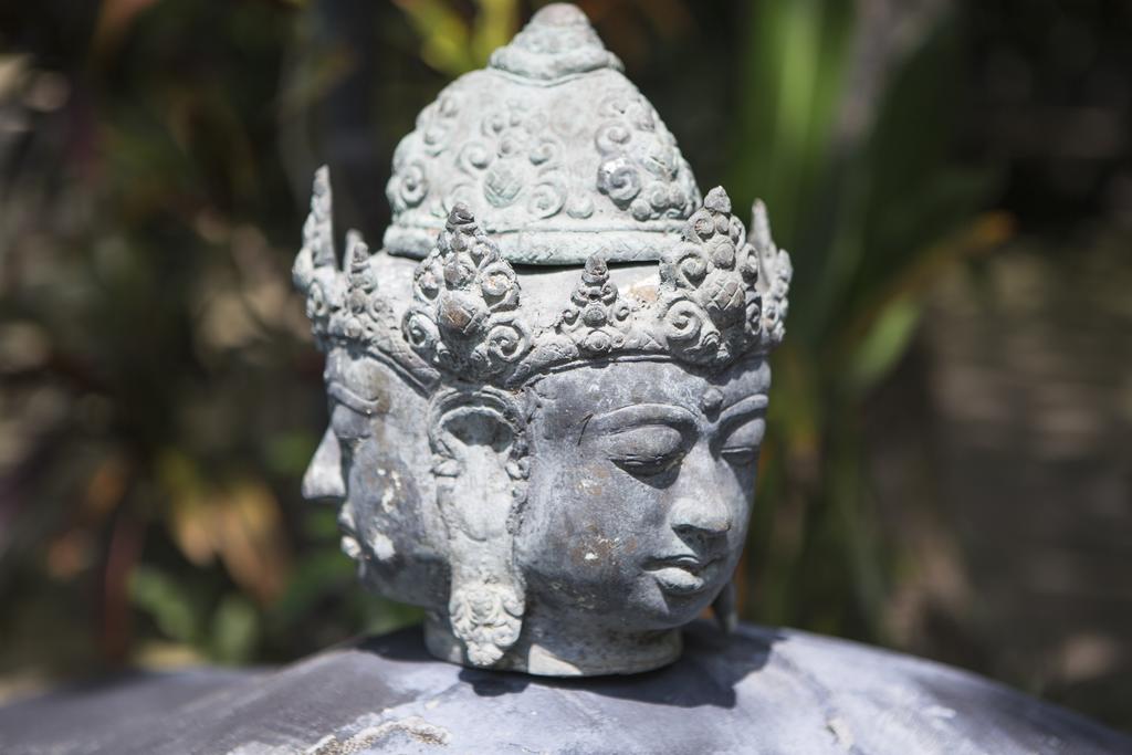 Citrus Tree Villas - Layla