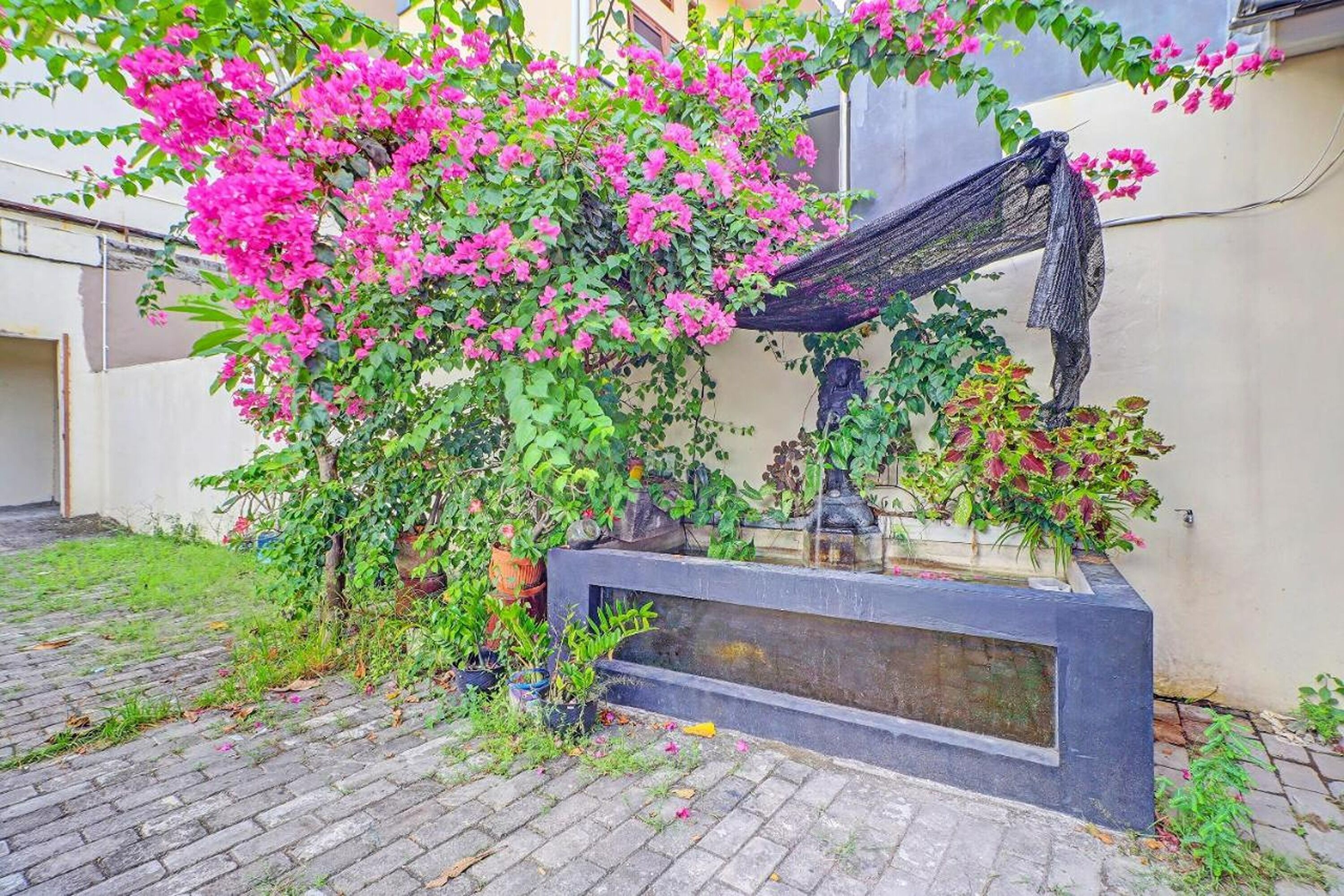 Guest House Simalem