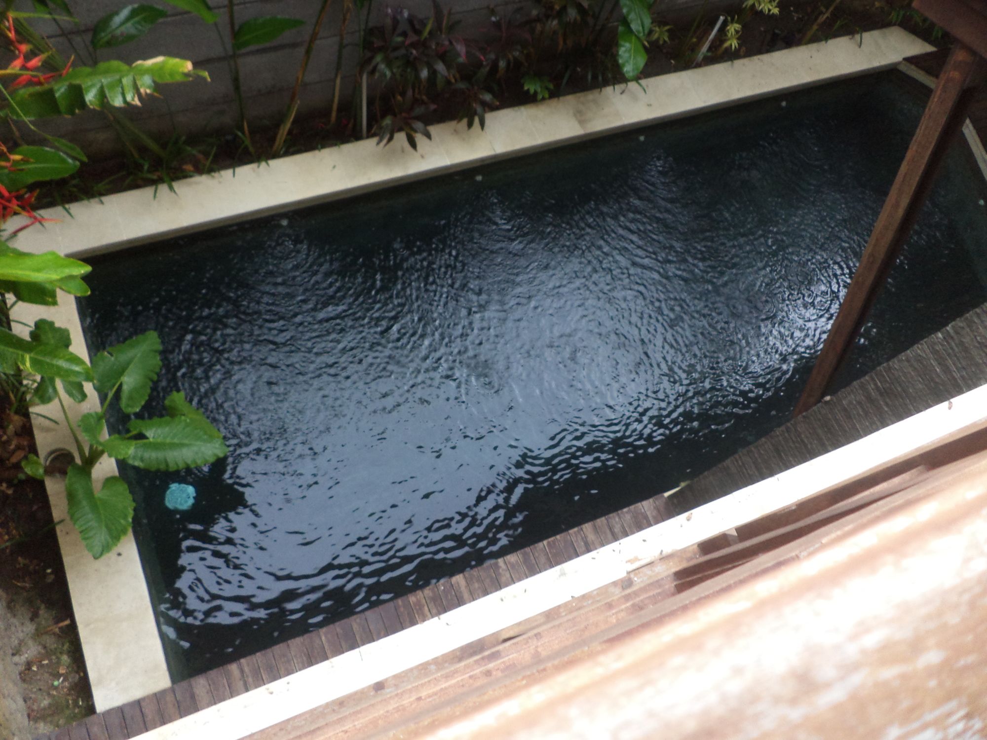 Intan Legian Seminyak Villa