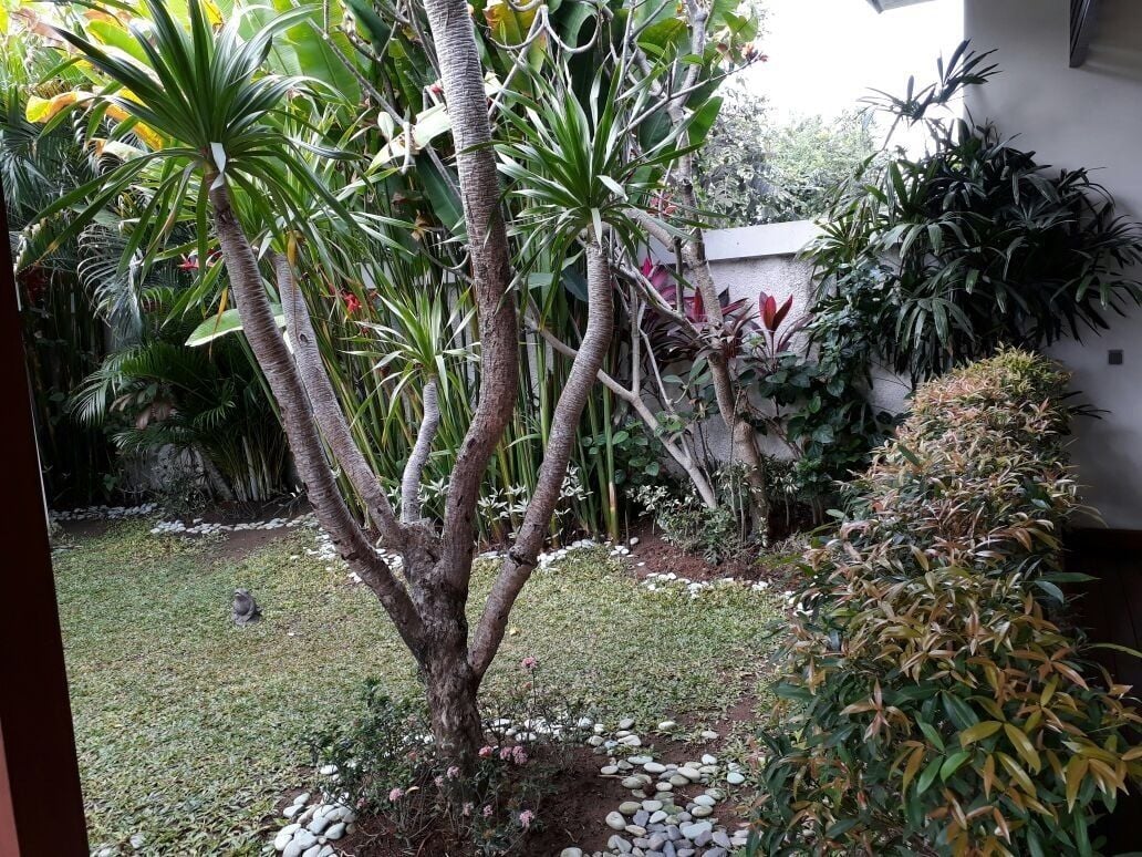 Intan Legian Seminyak Villa