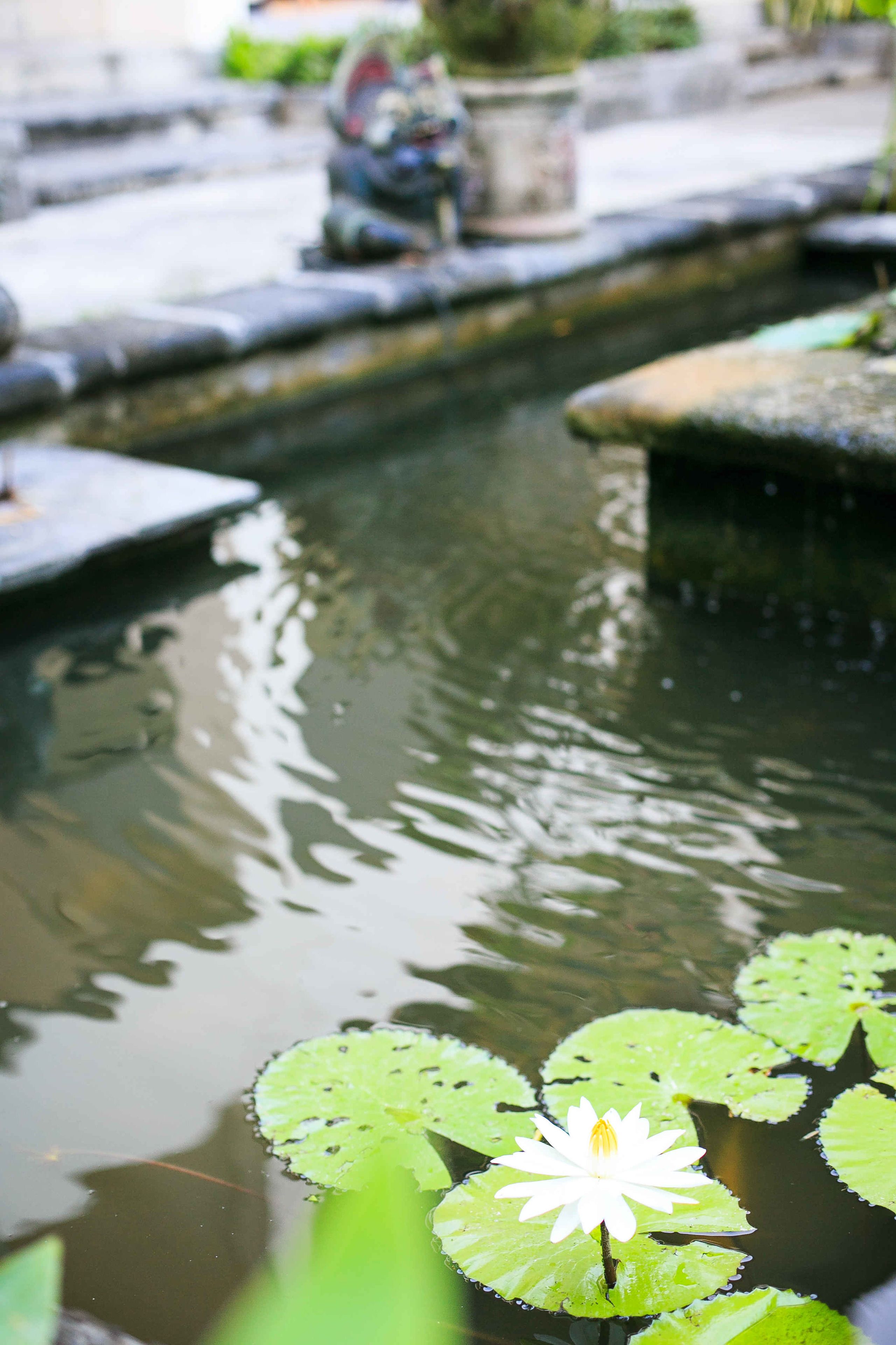 Legian Paradiso Hotel