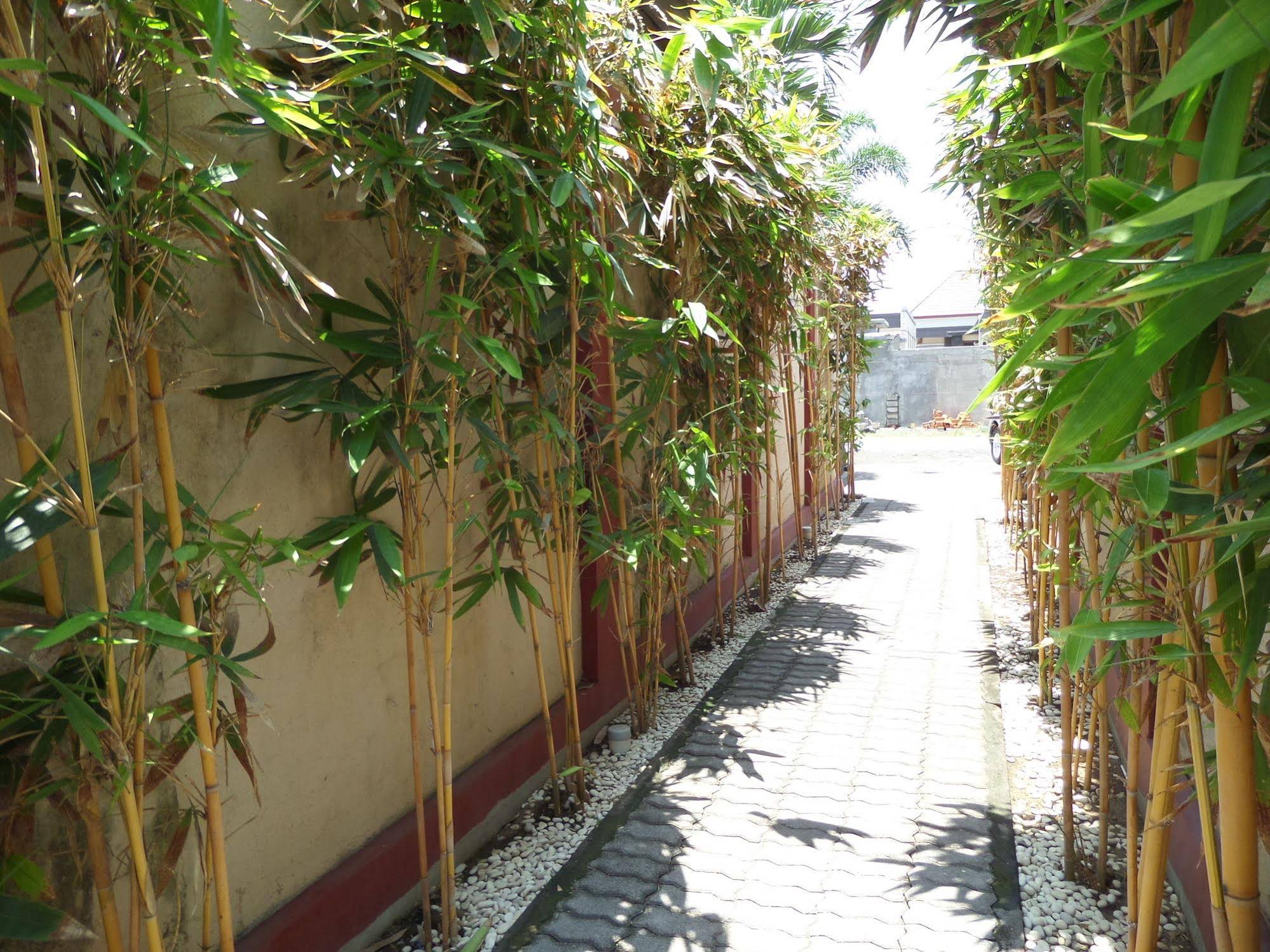 Tanjung Lima Villas