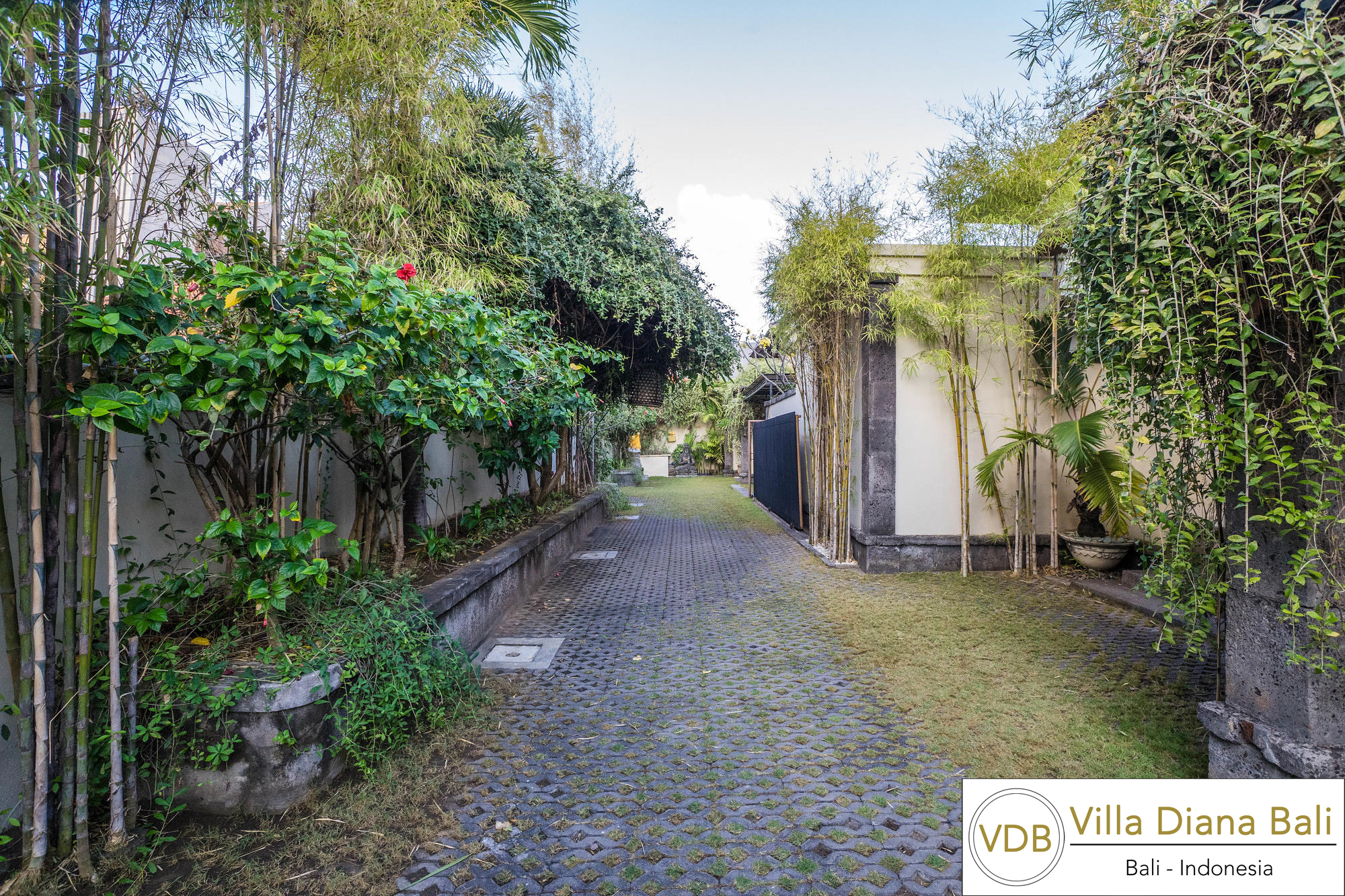 Villa Diana Bali