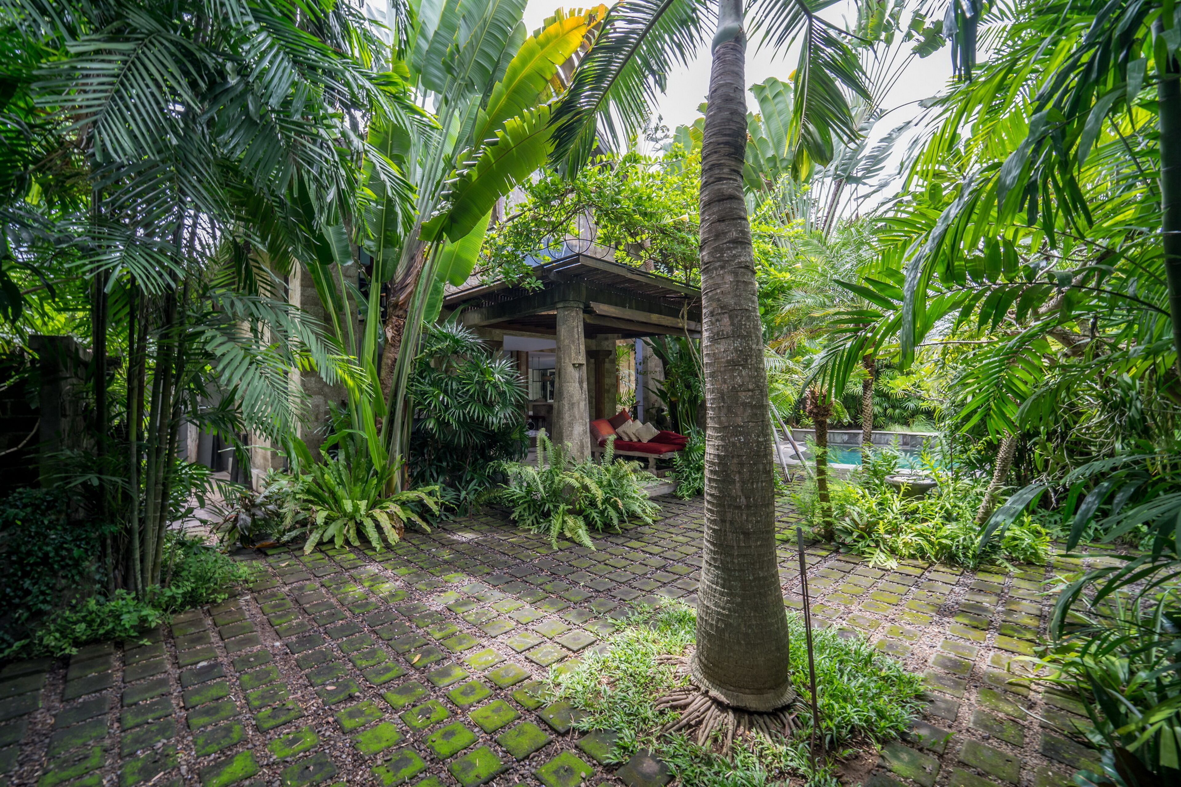Villa K
