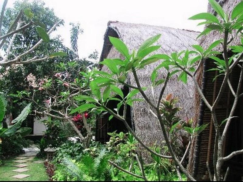Adi Bungalow