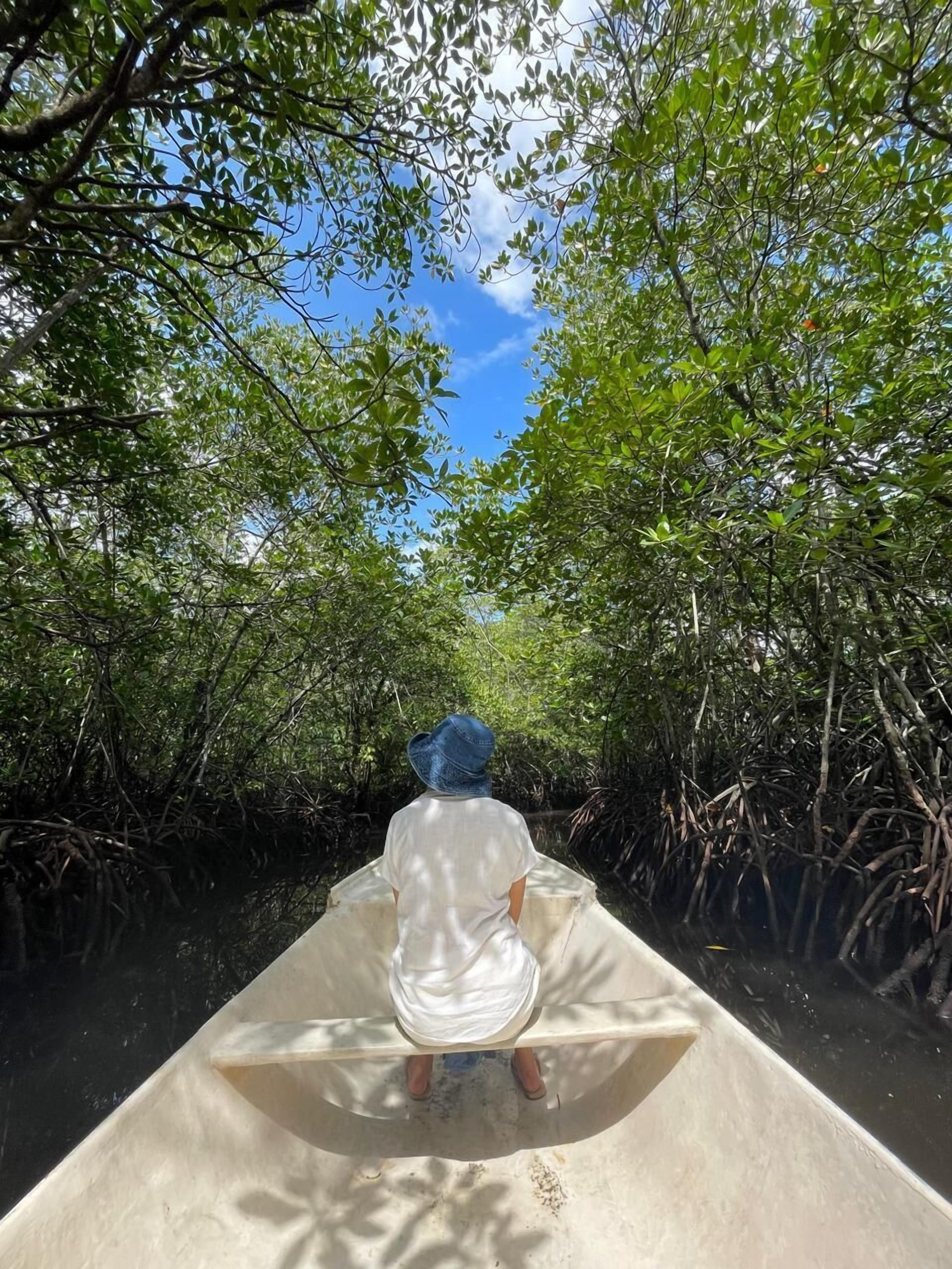 Gecko Villa & Bungalows