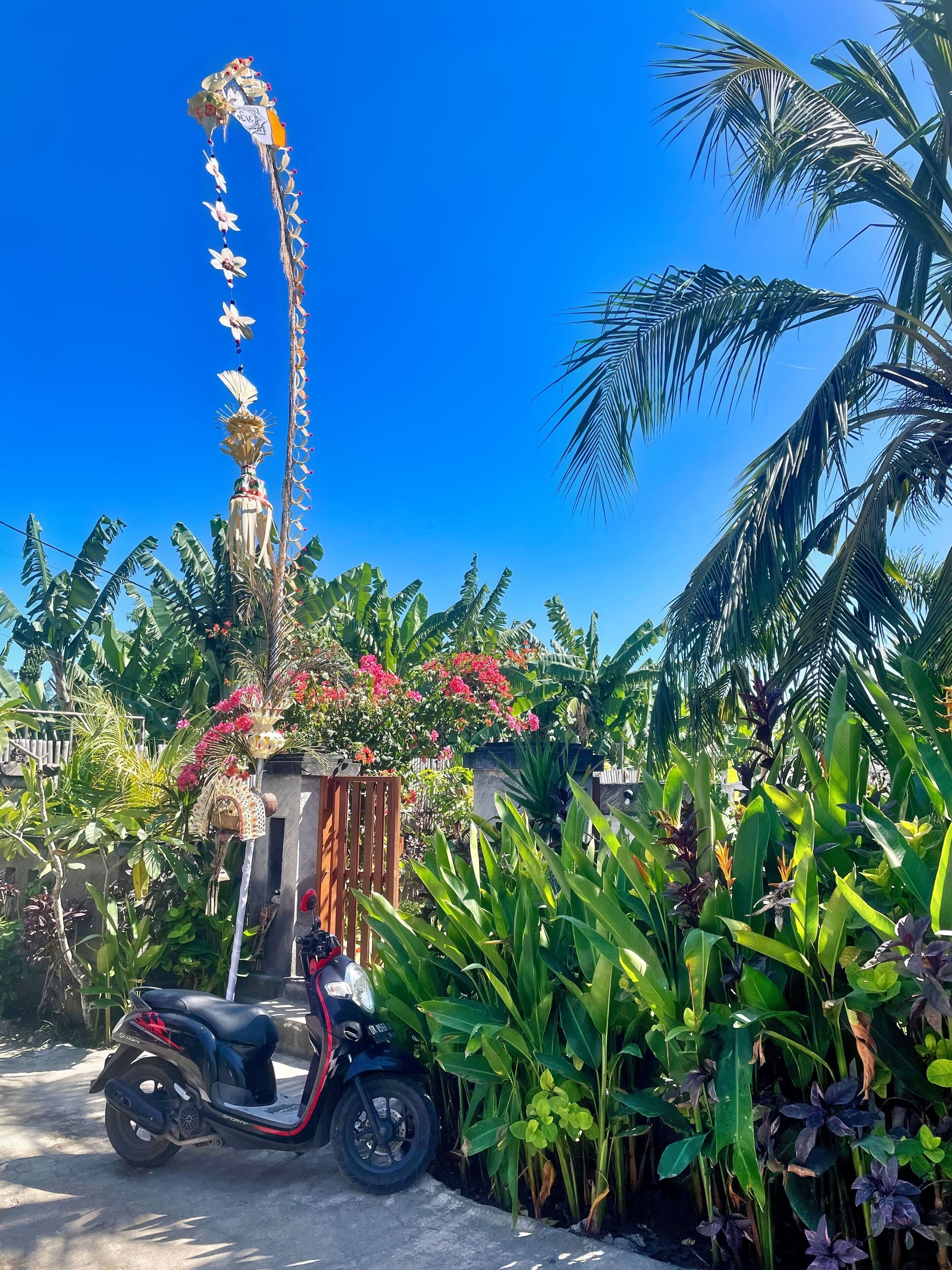 Island Garden Huts Lembongan
