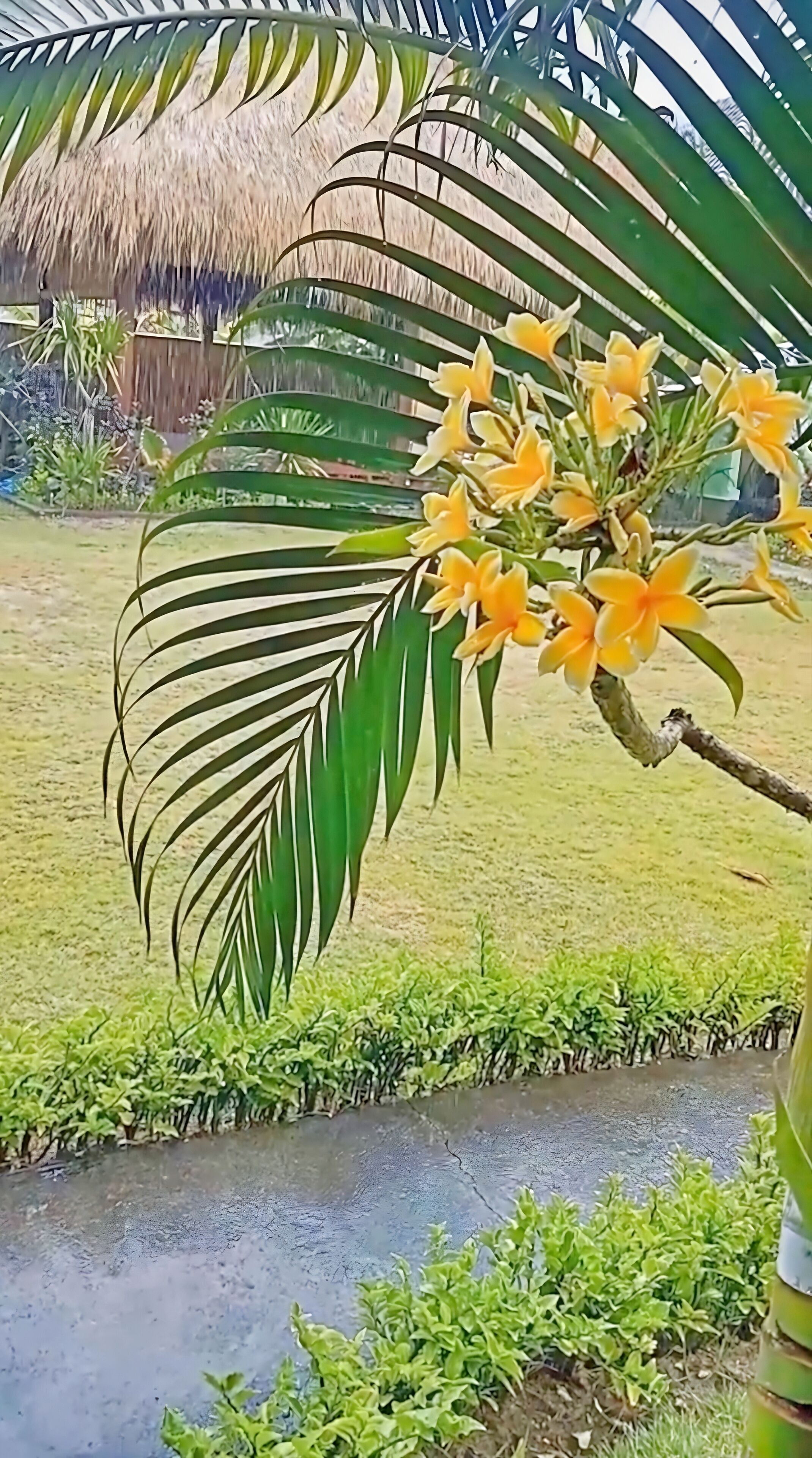 Island Garden Huts Lembongan