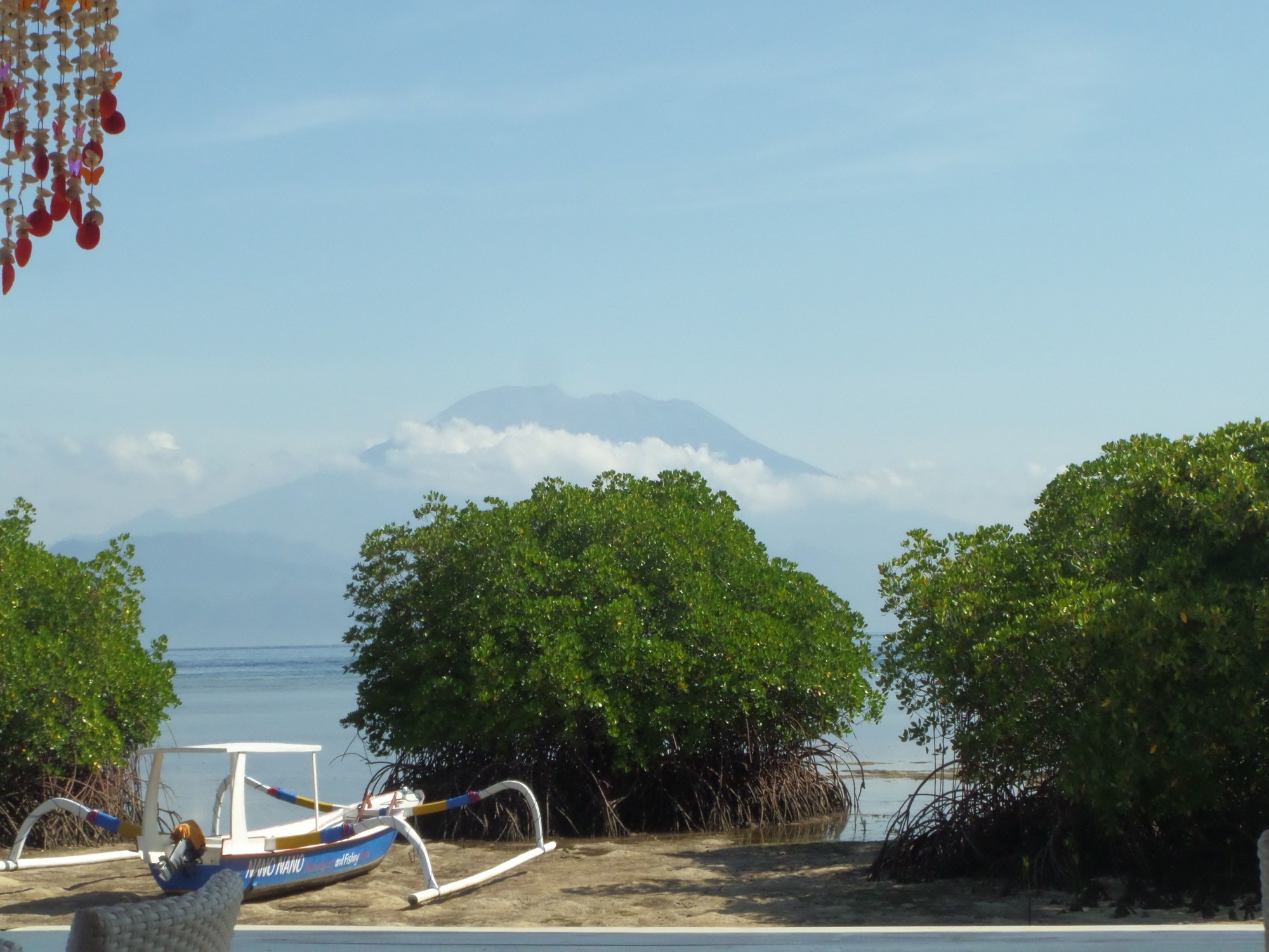 Pesona Mangrove
