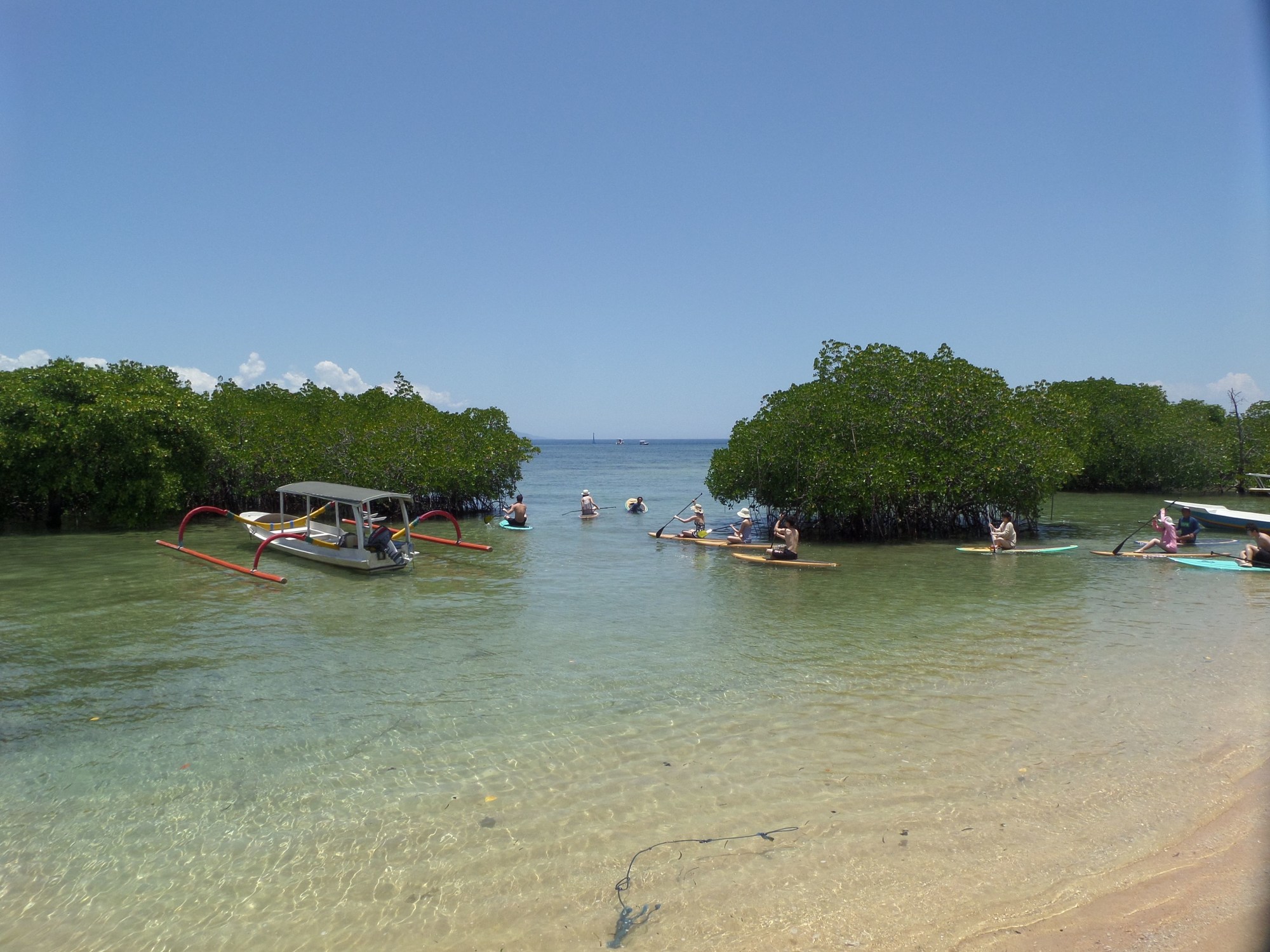 Pesona Mangrove