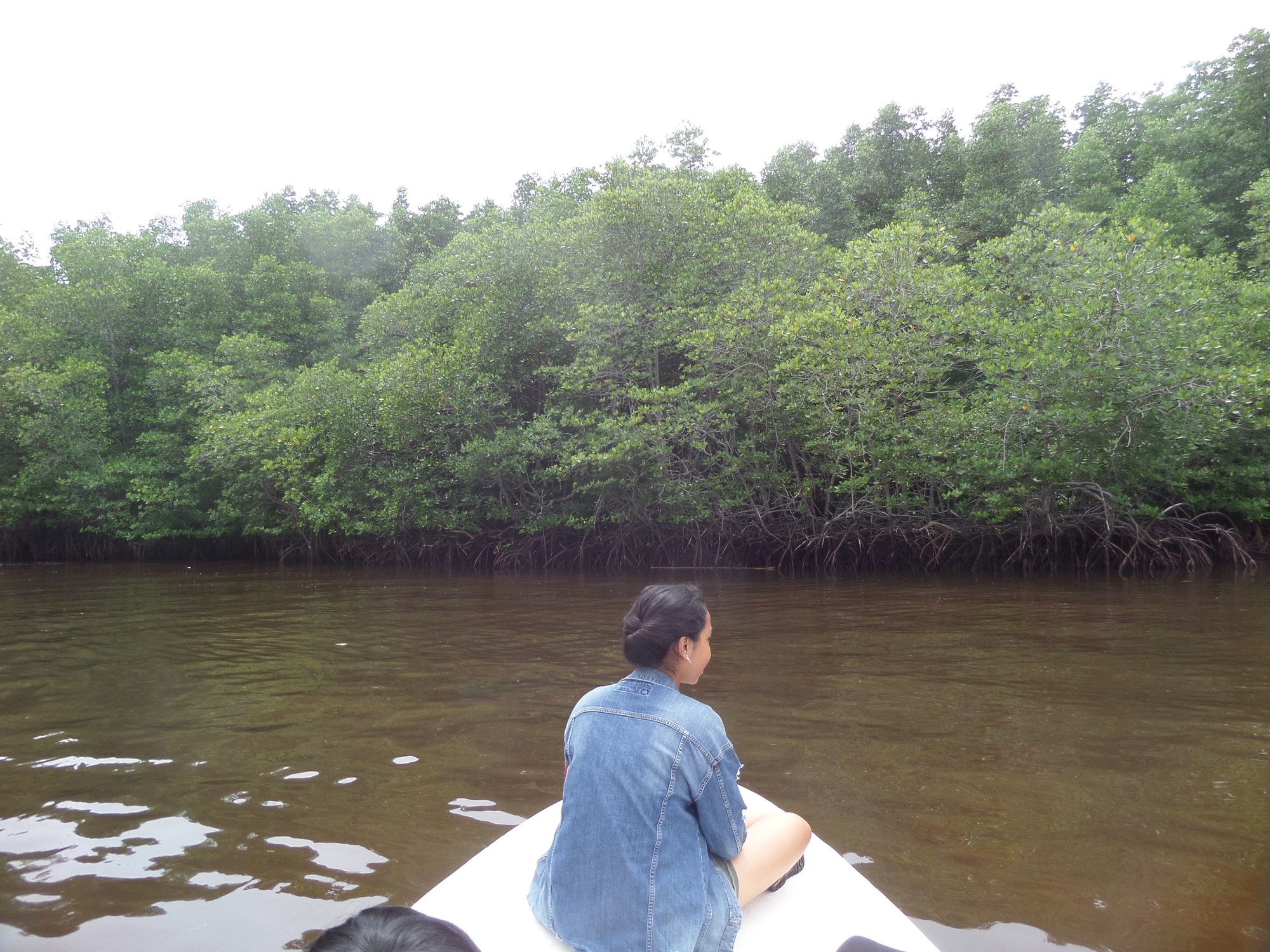 Pesona Mangrove