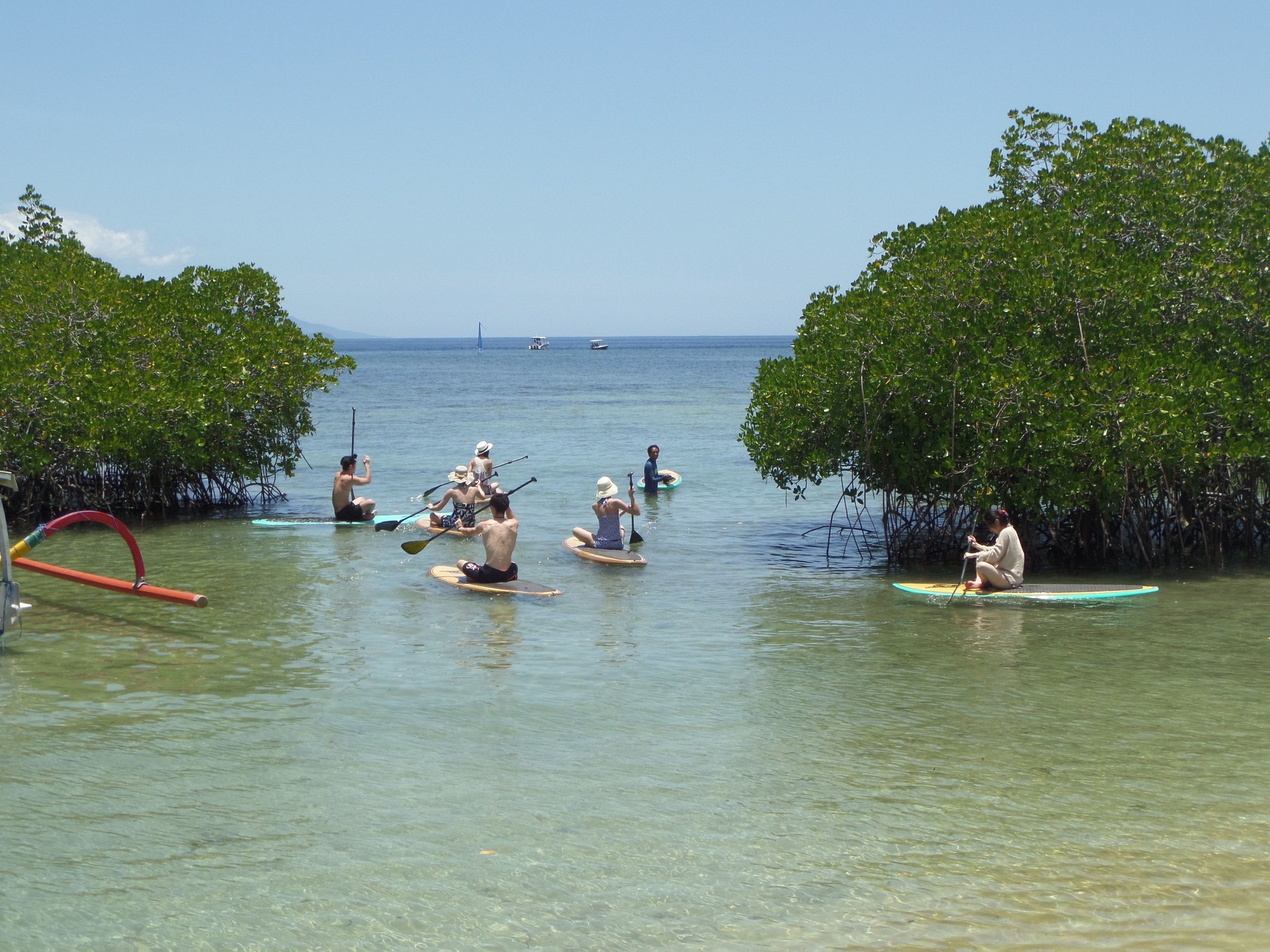 Pesona Mangrove