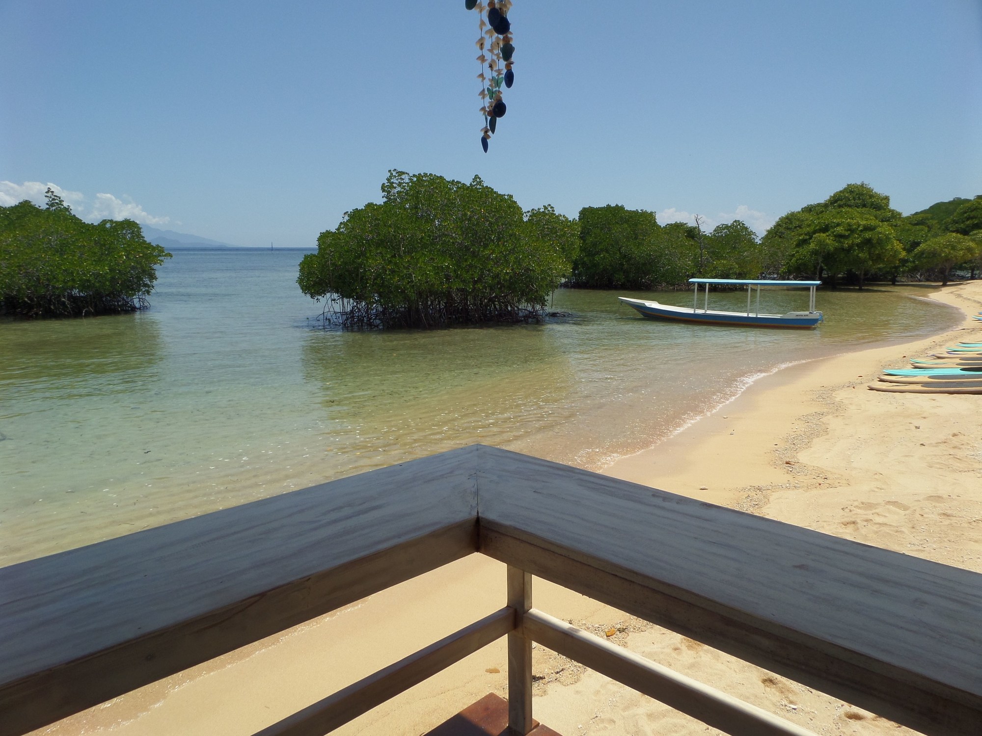 Pesona Mangrove