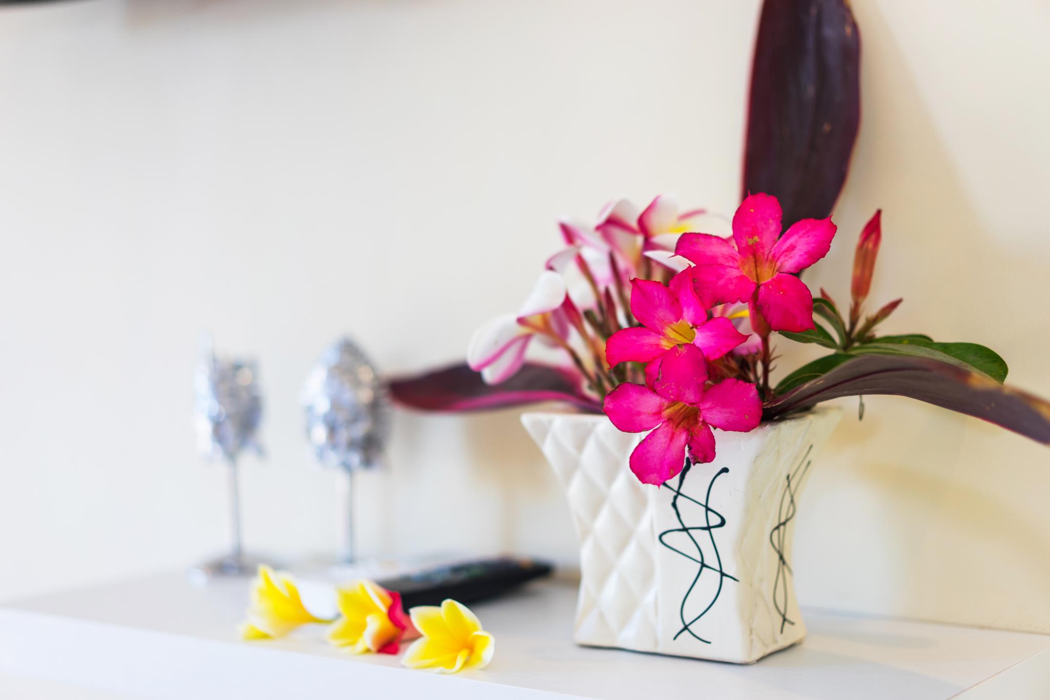 Seaweed Guesthouse Lembongan