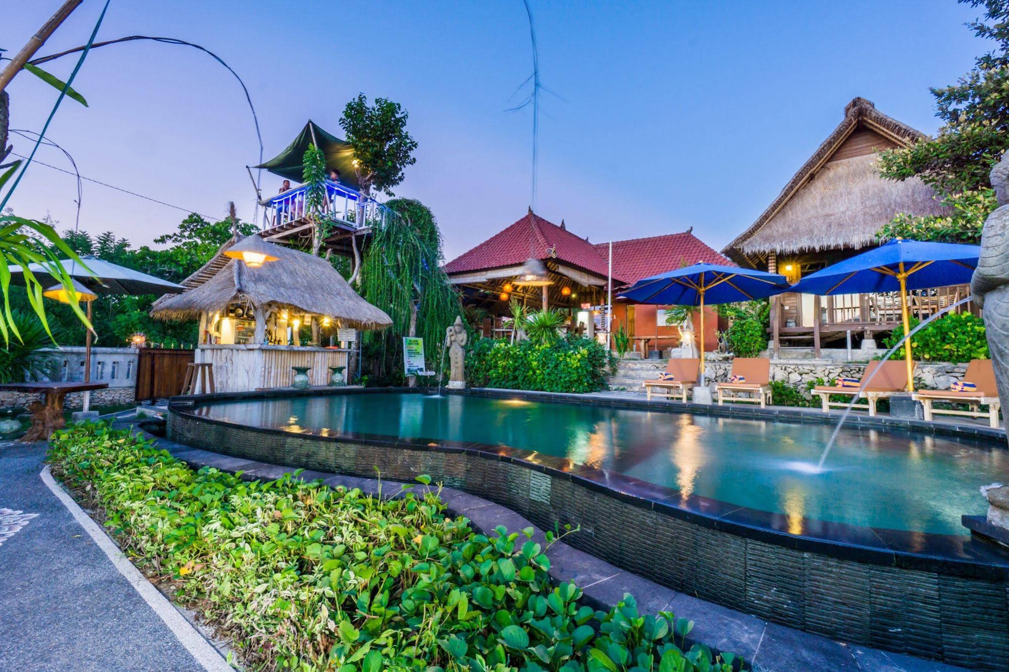 The Dafish Accommodation Bar & Cafe