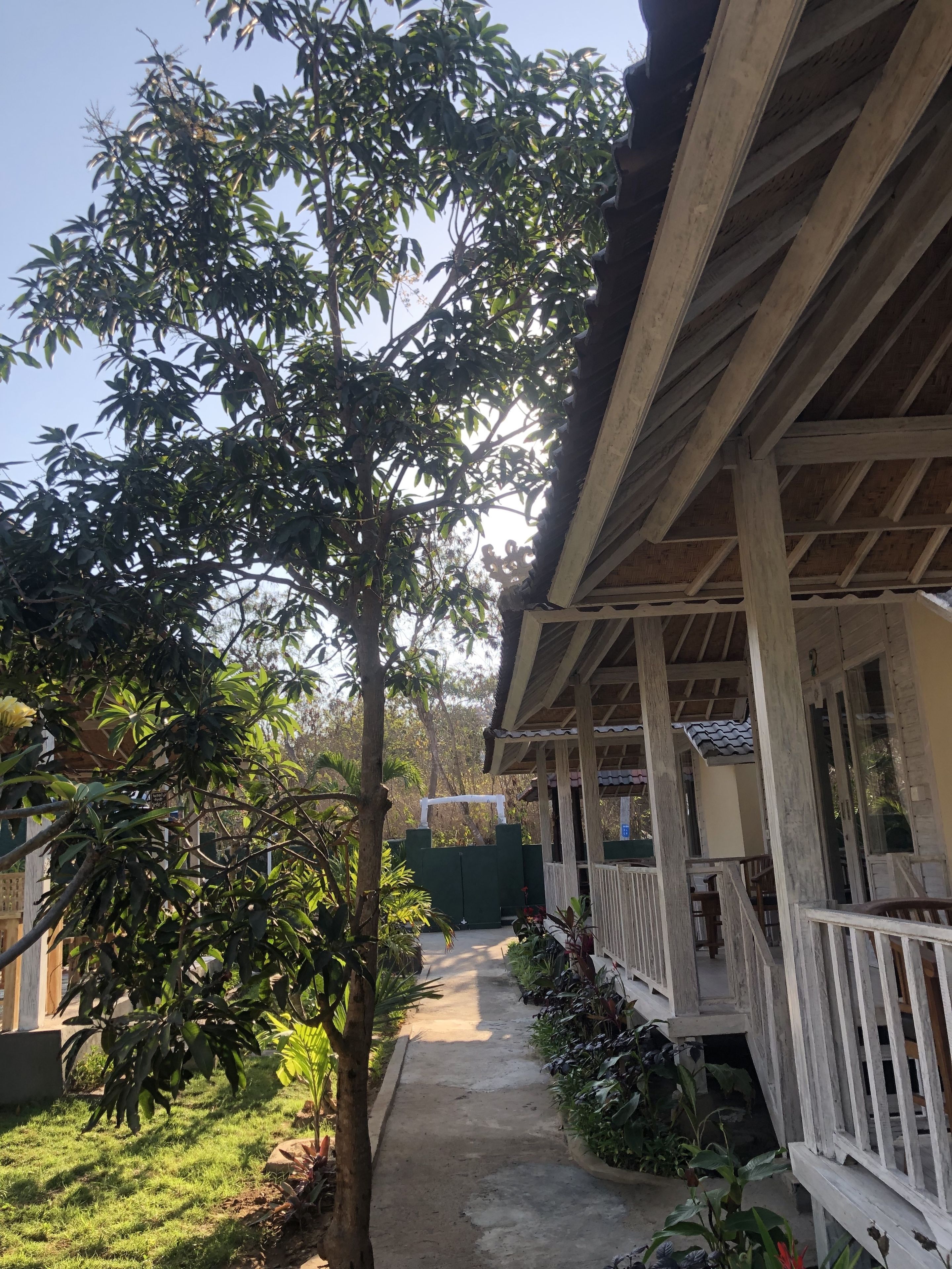 The Lucky Cottage