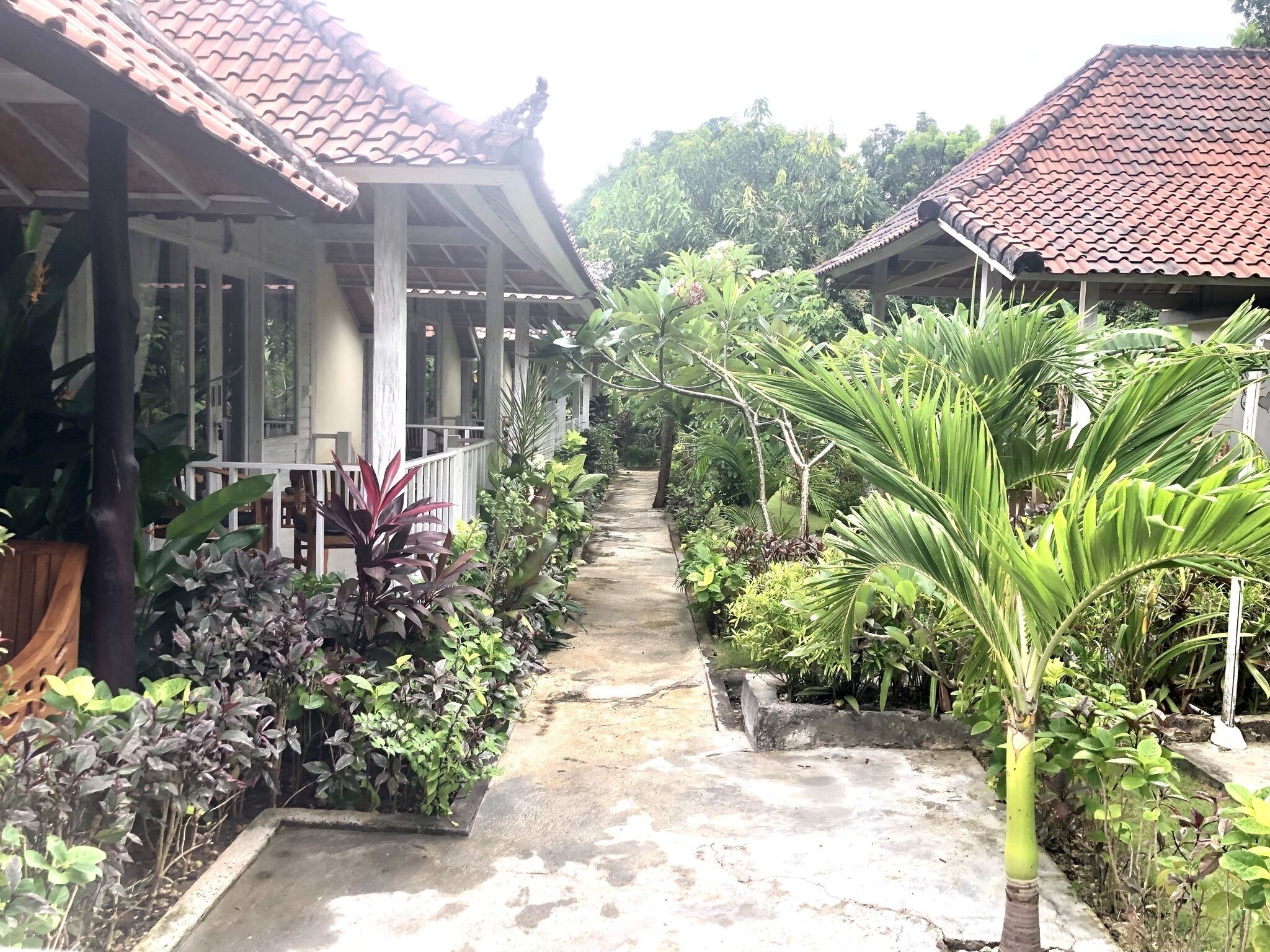 The Lucky Cottage