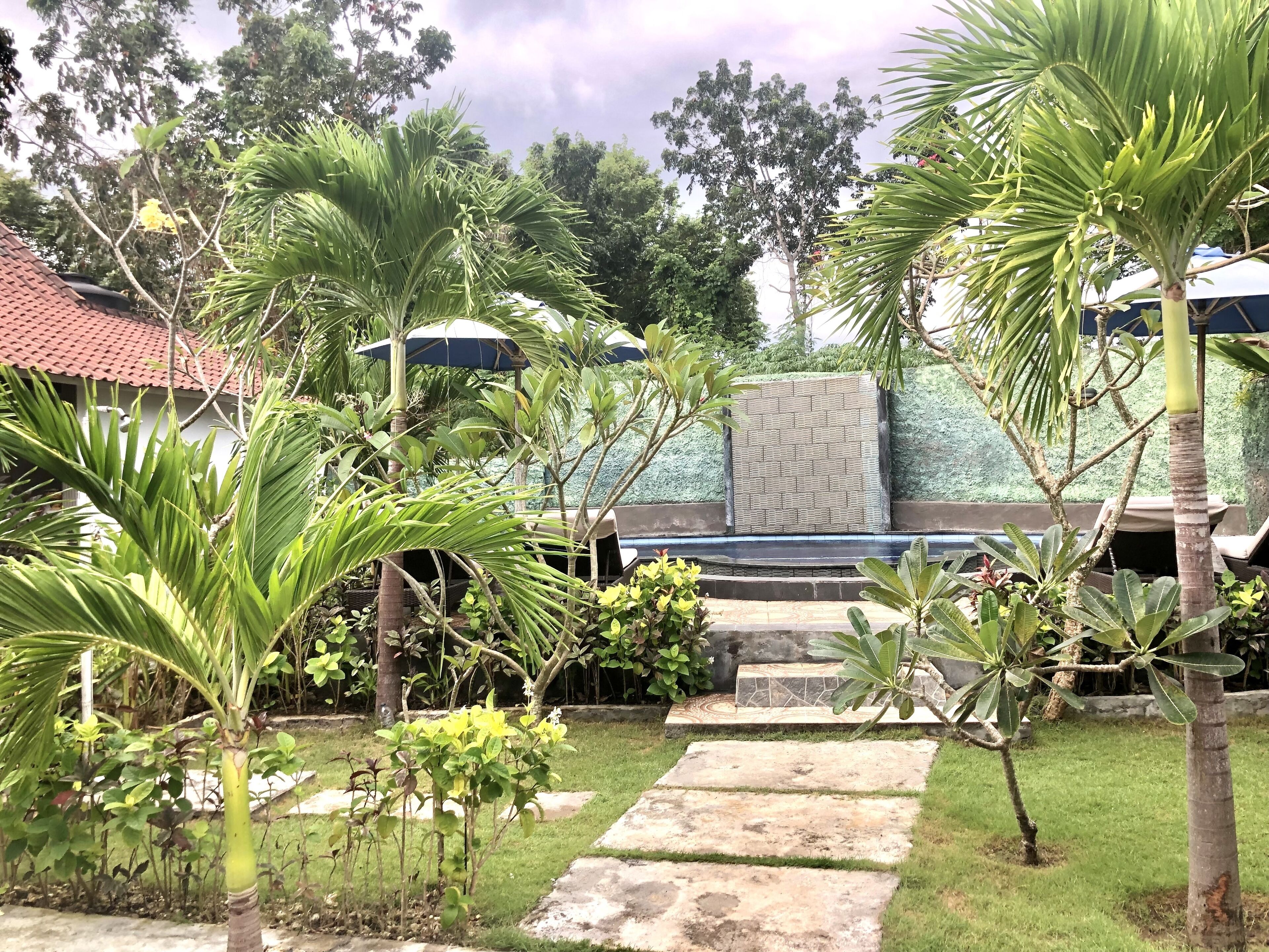 The Lucky Cottage