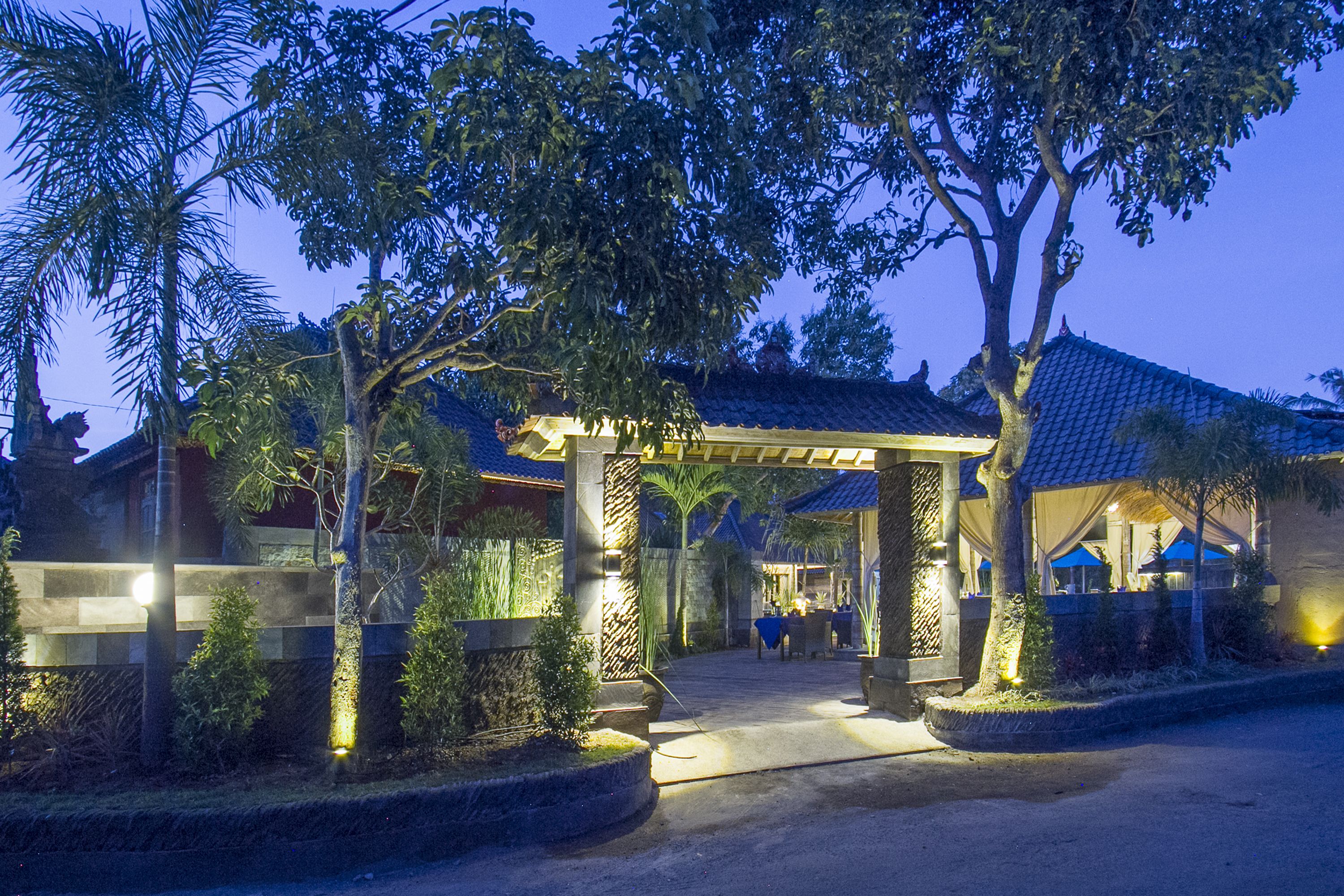 The Palm Grove