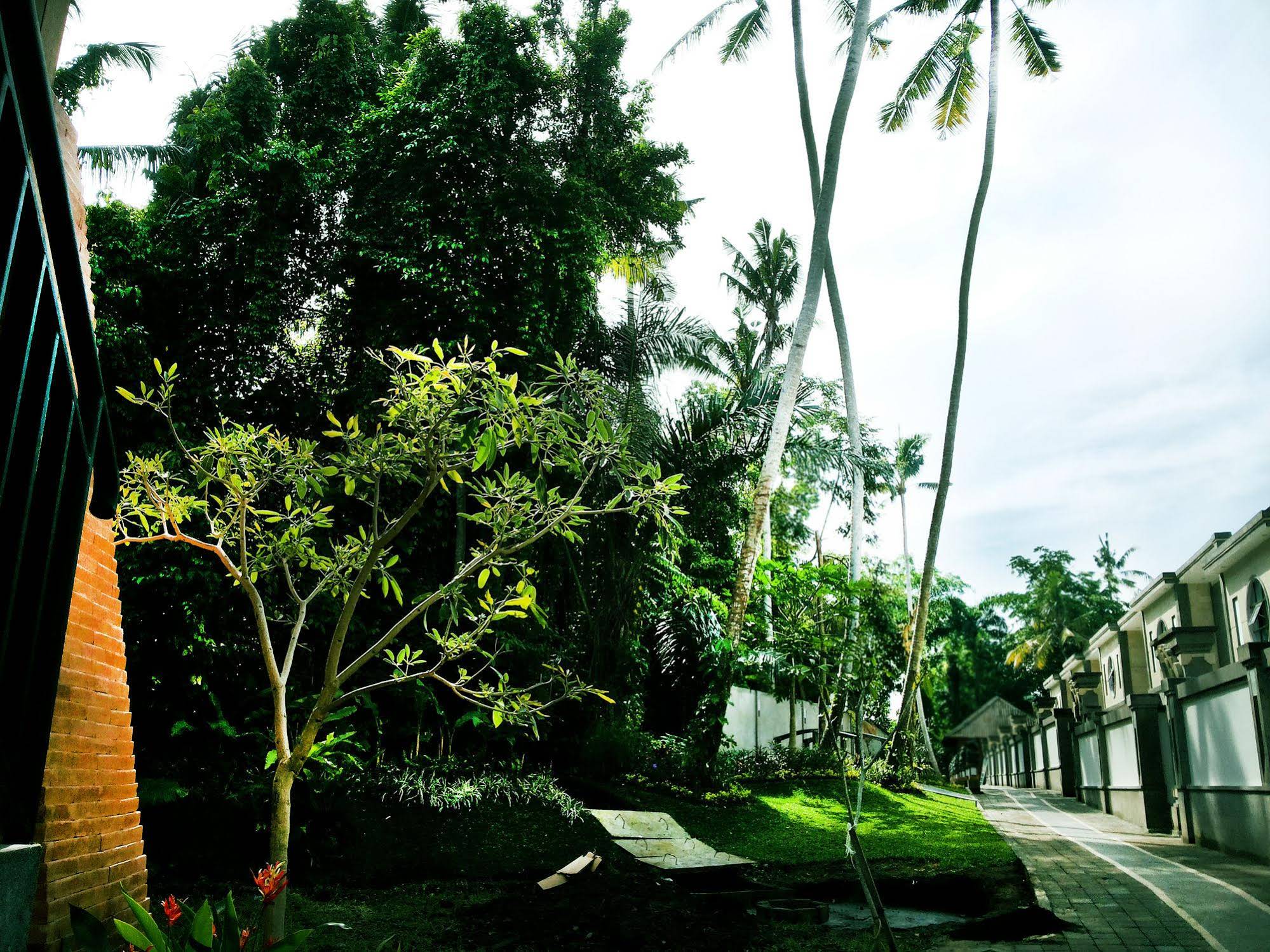 Fullmoon Villa Ubud