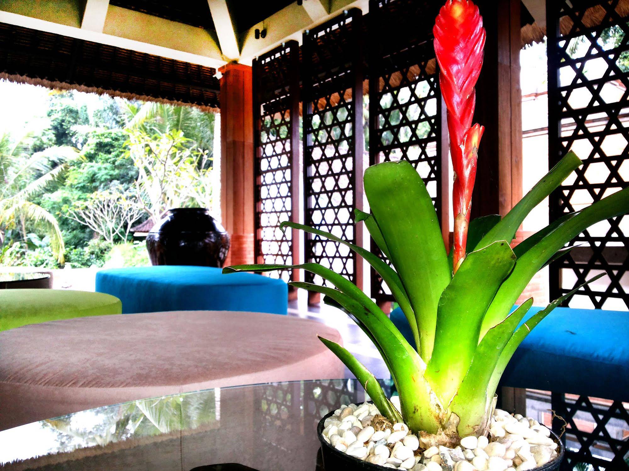 Fullmoon Villa Ubud