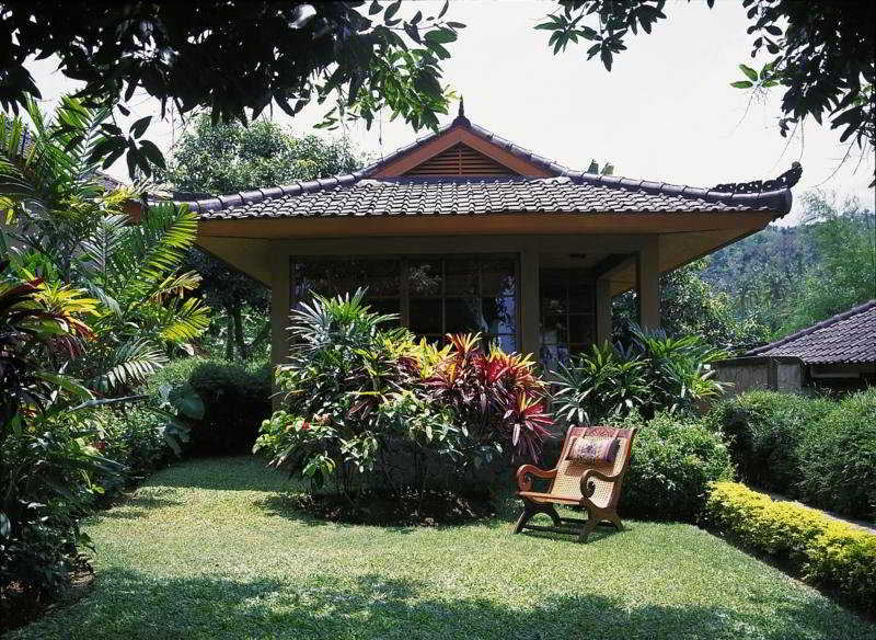 The Damai