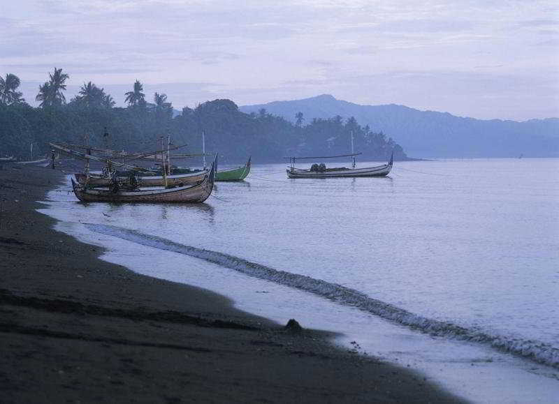 The Damai