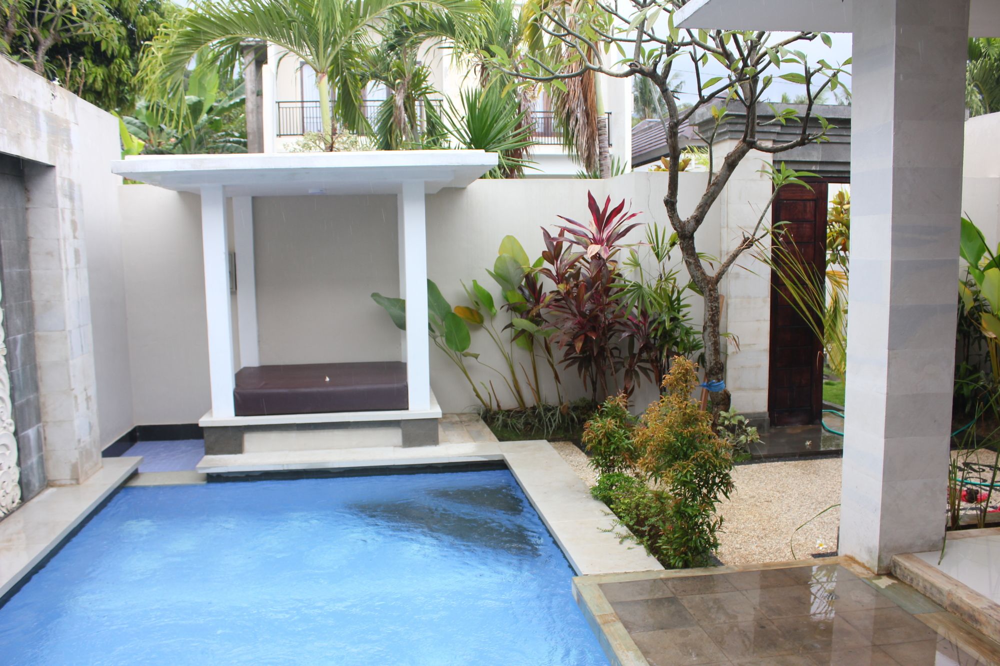 The Kayuputih