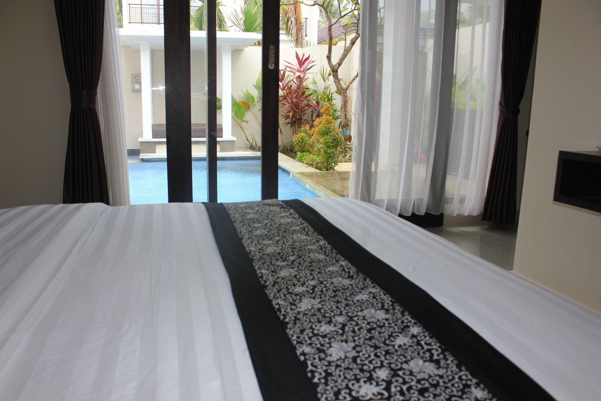 The Kayuputih