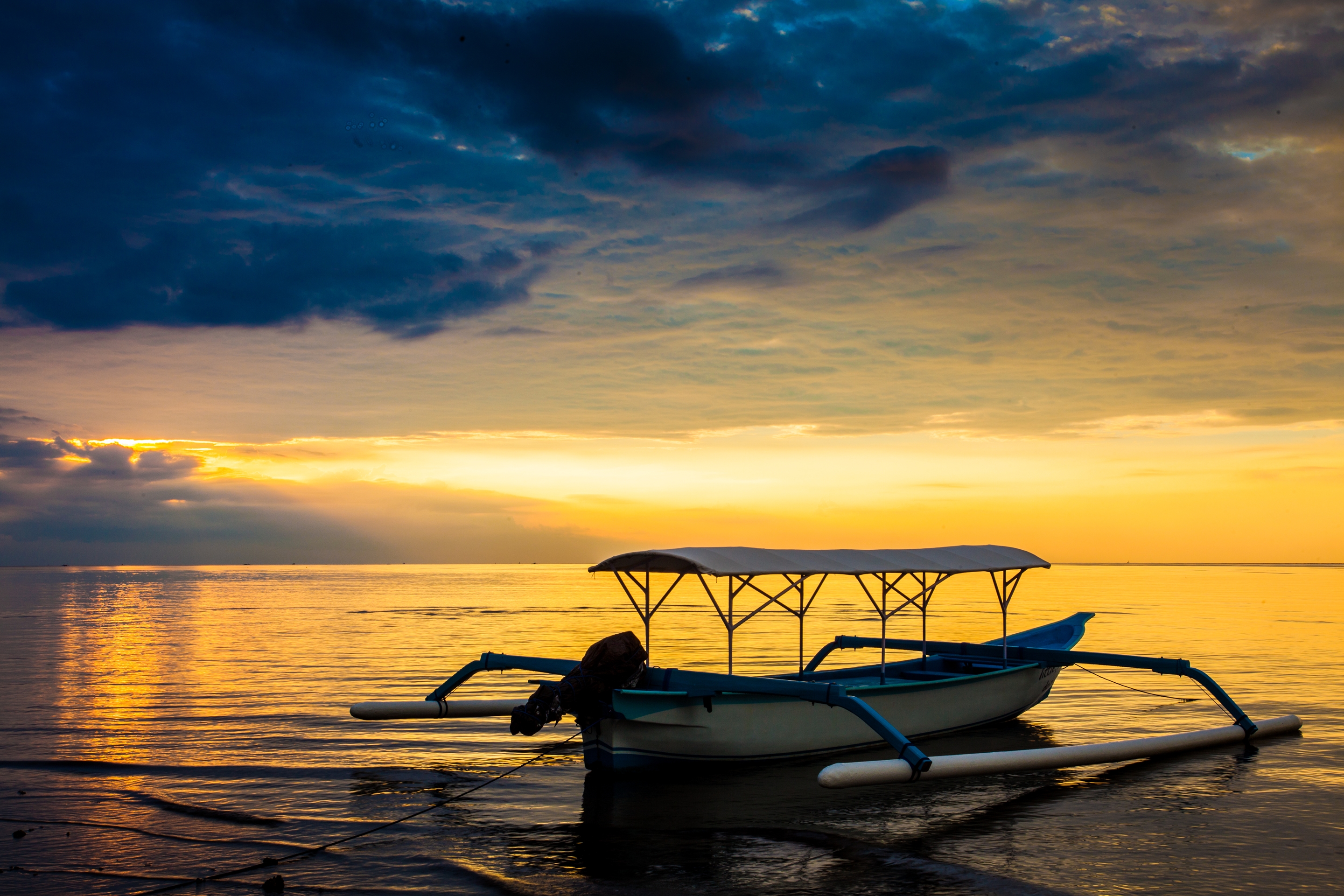 The Lovina Bali