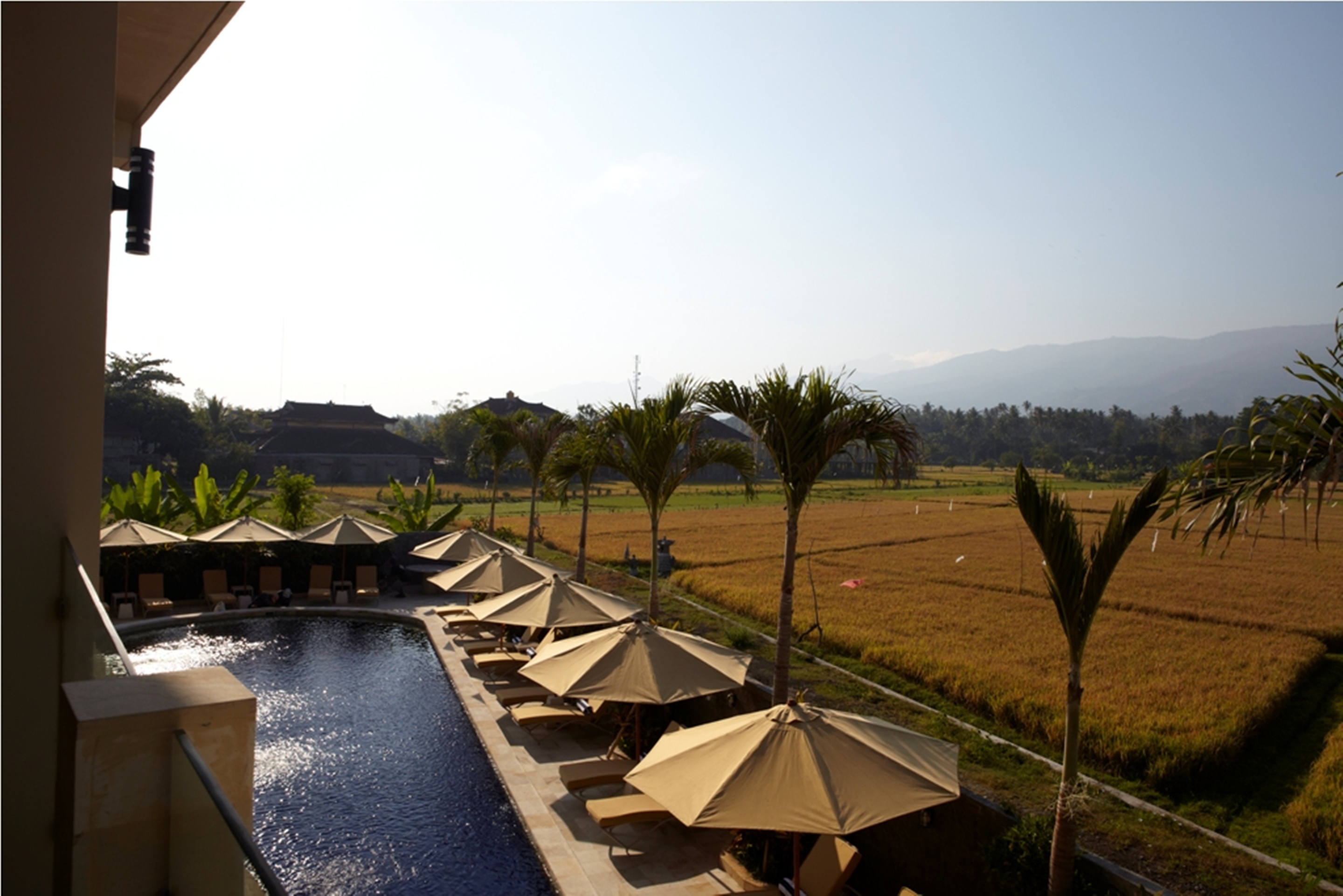 The Lovina Bali