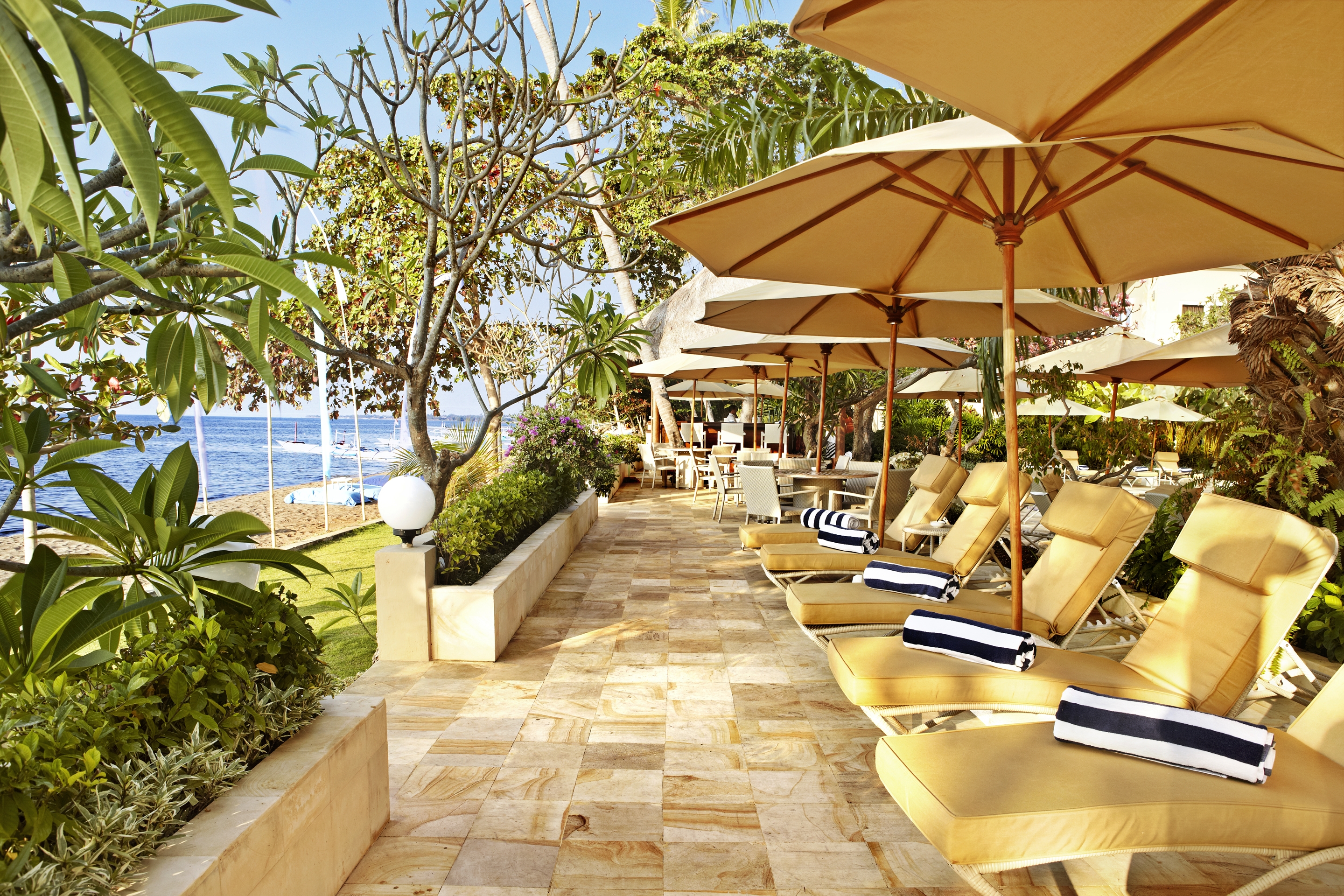 The Lovina Bali