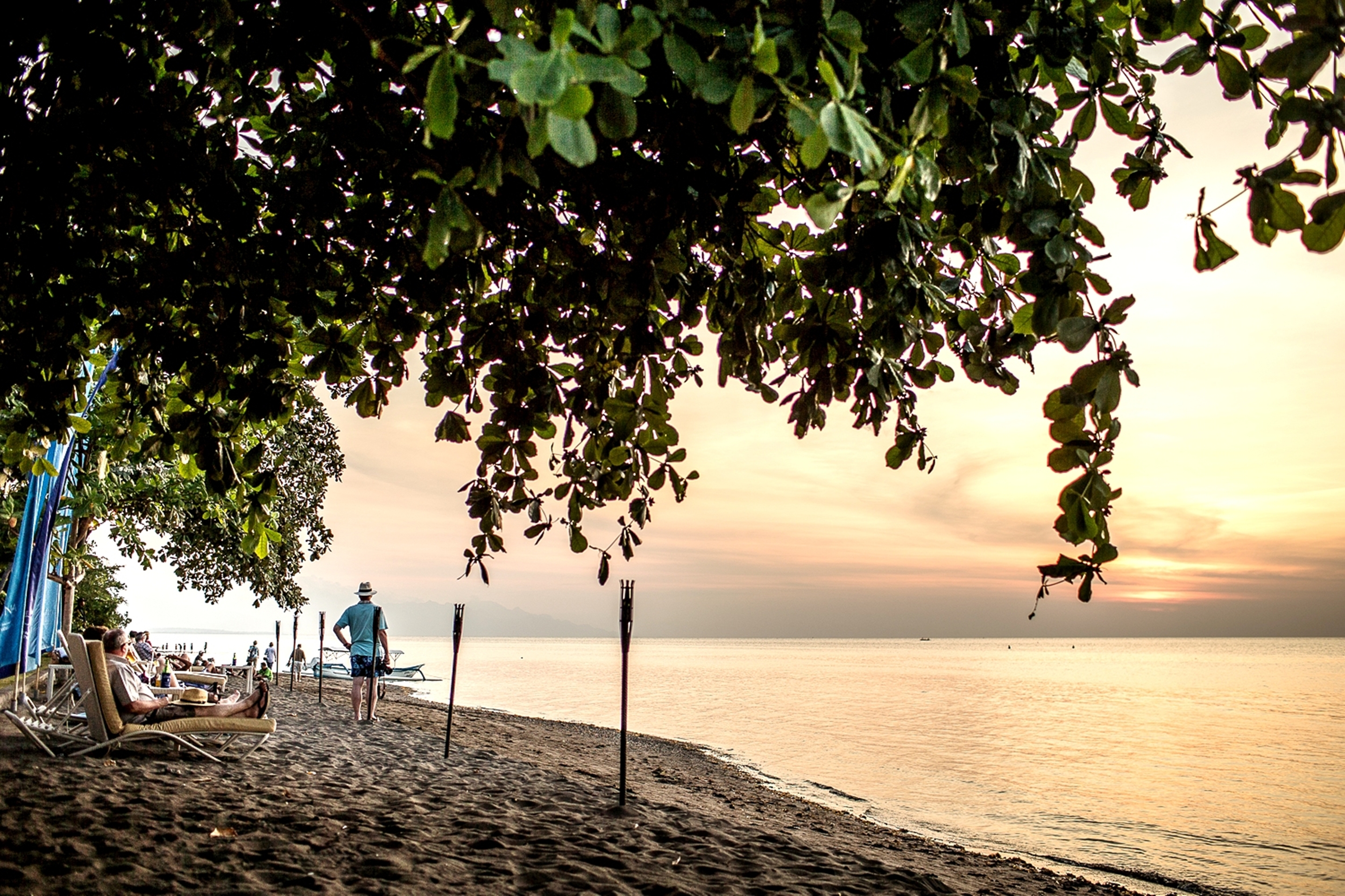 The Lovina Bali