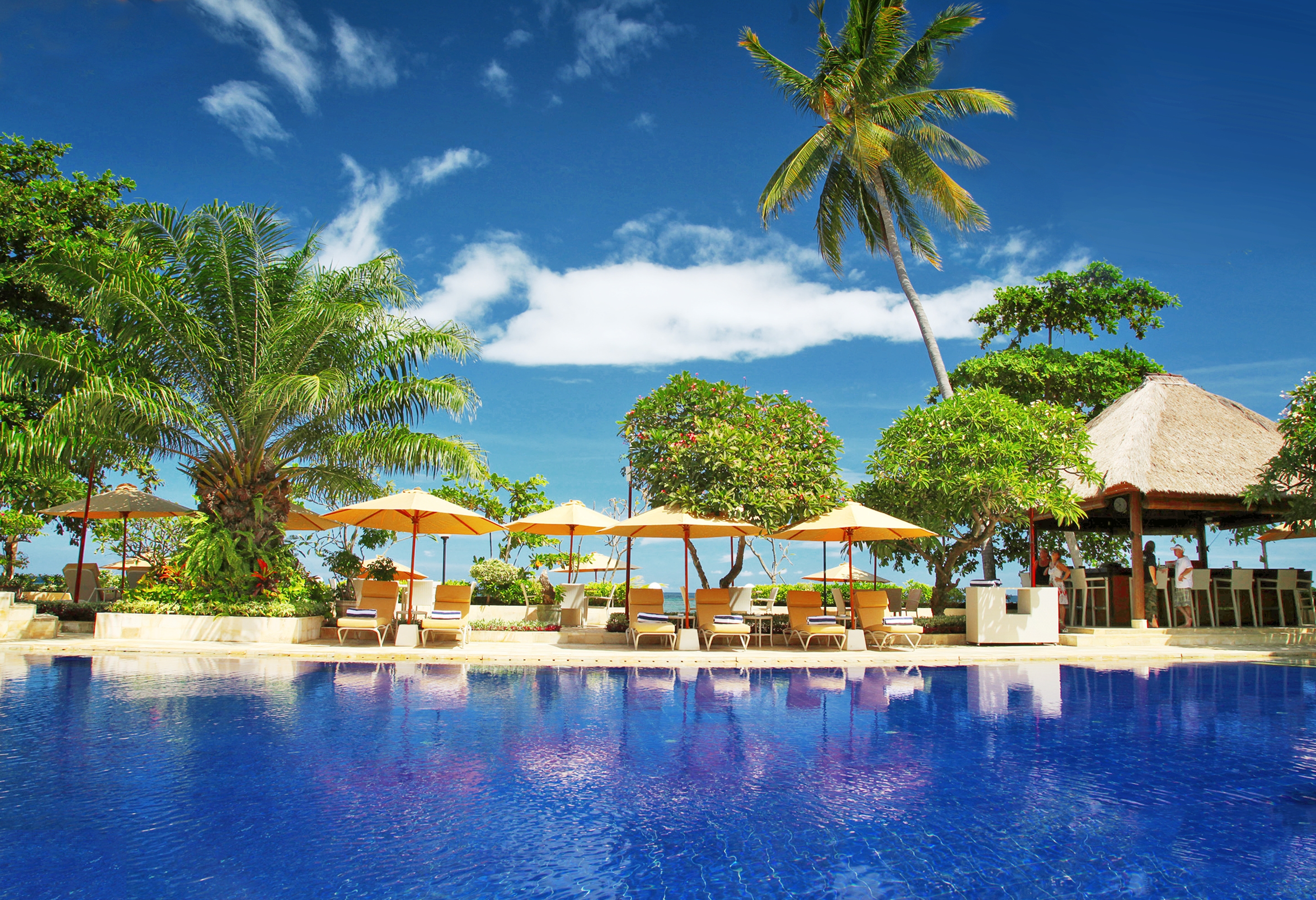 The Lovina Bali