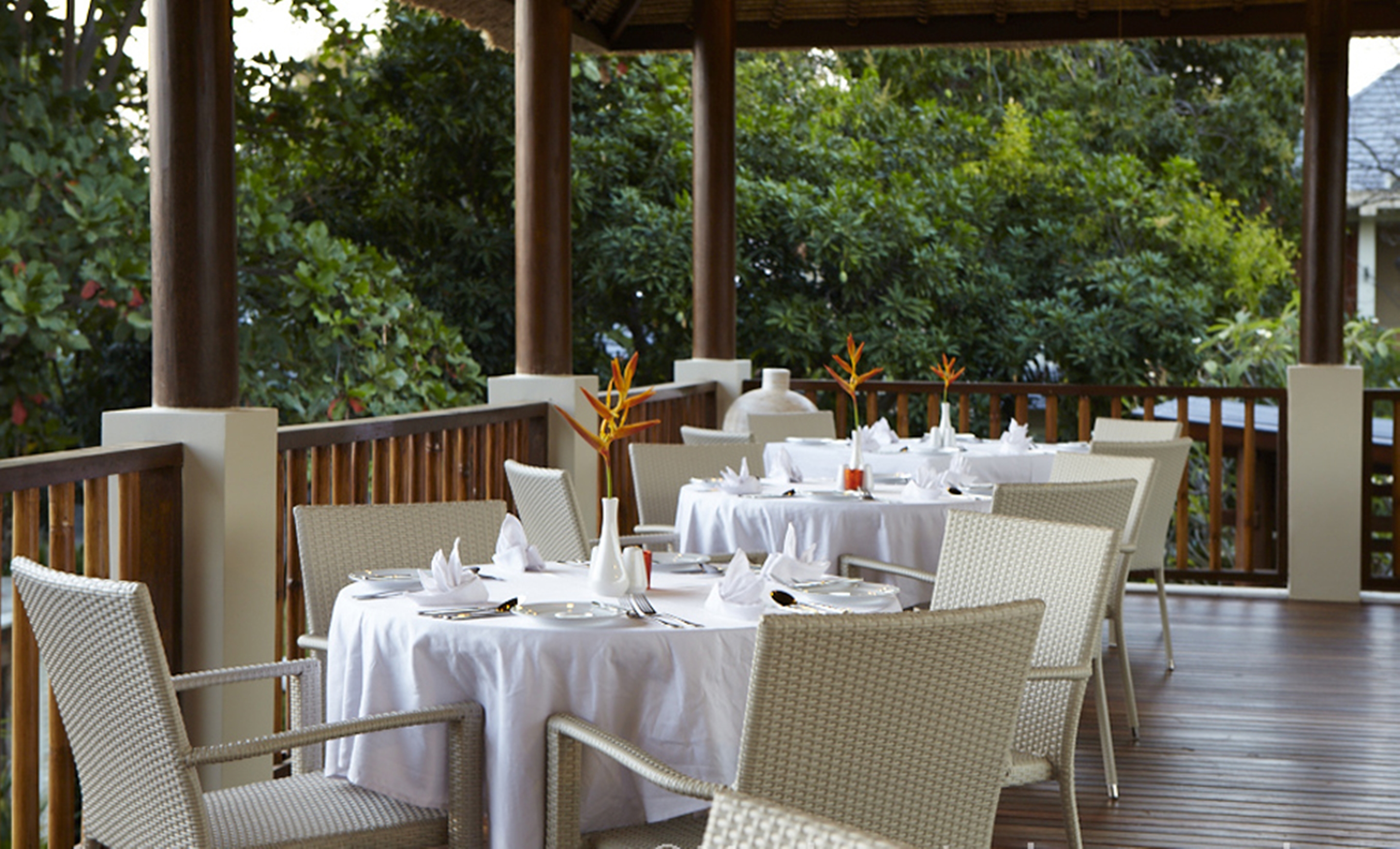 The Lovina Bali