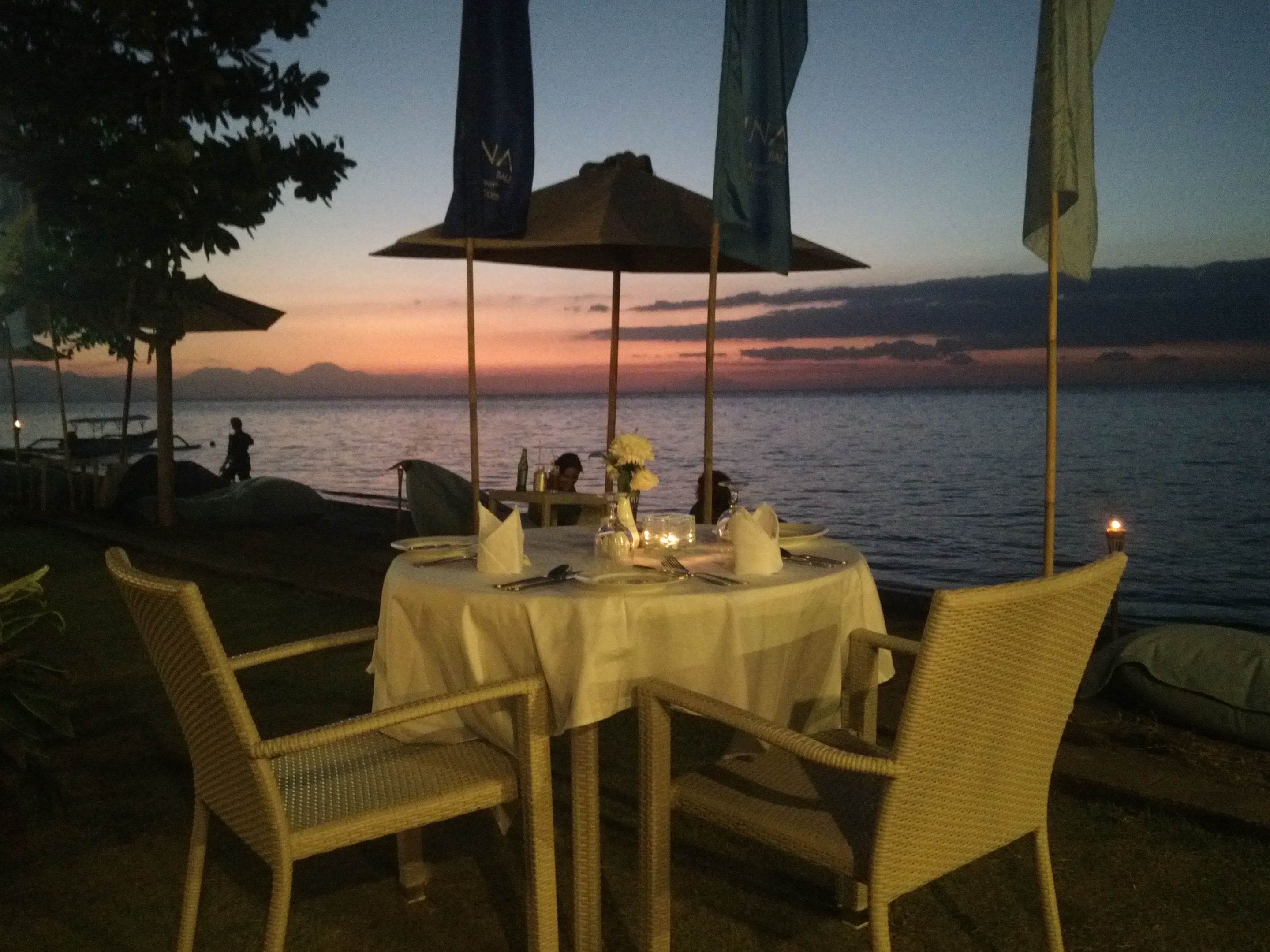 The Lovina Bali