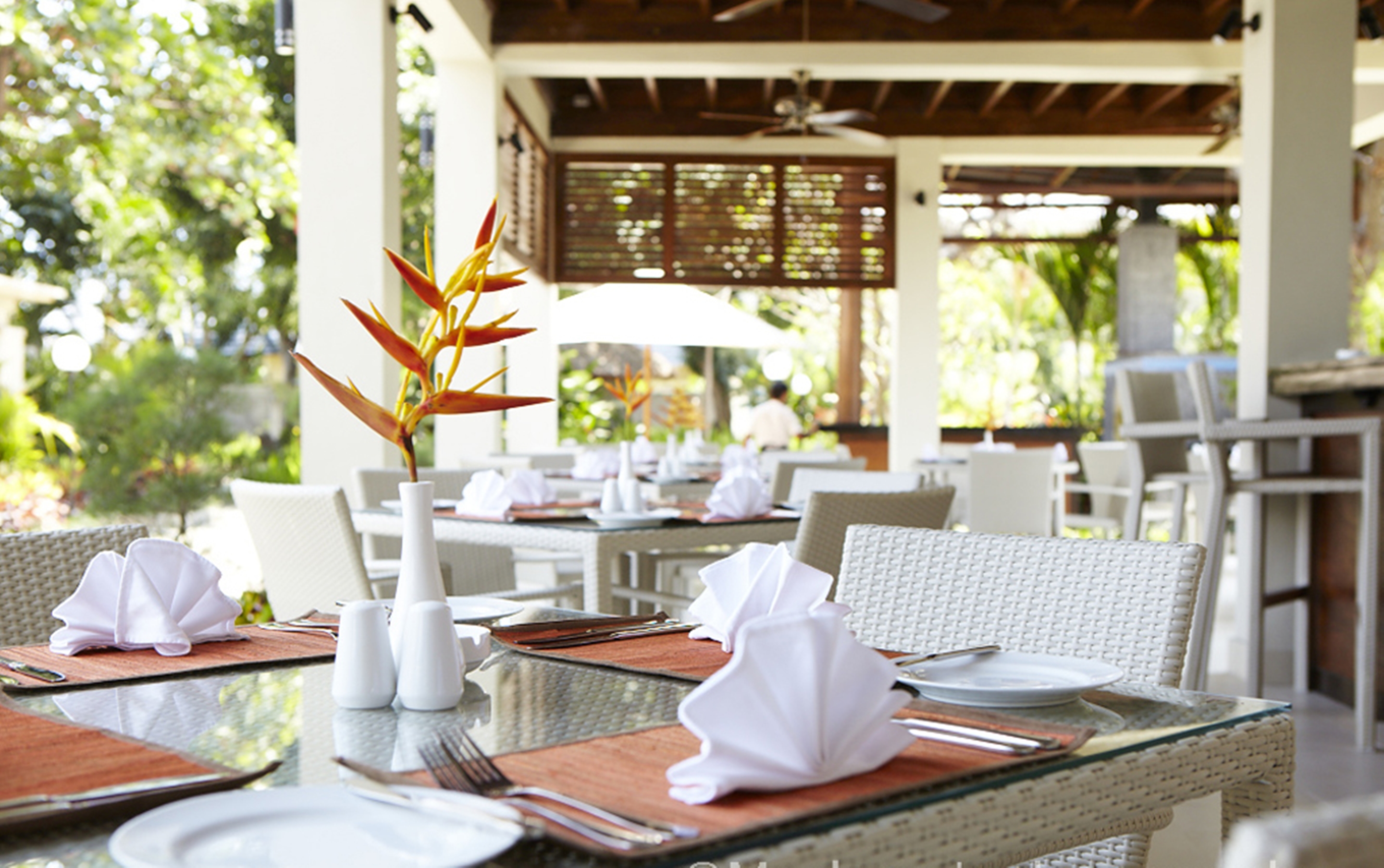 The Lovina Bali