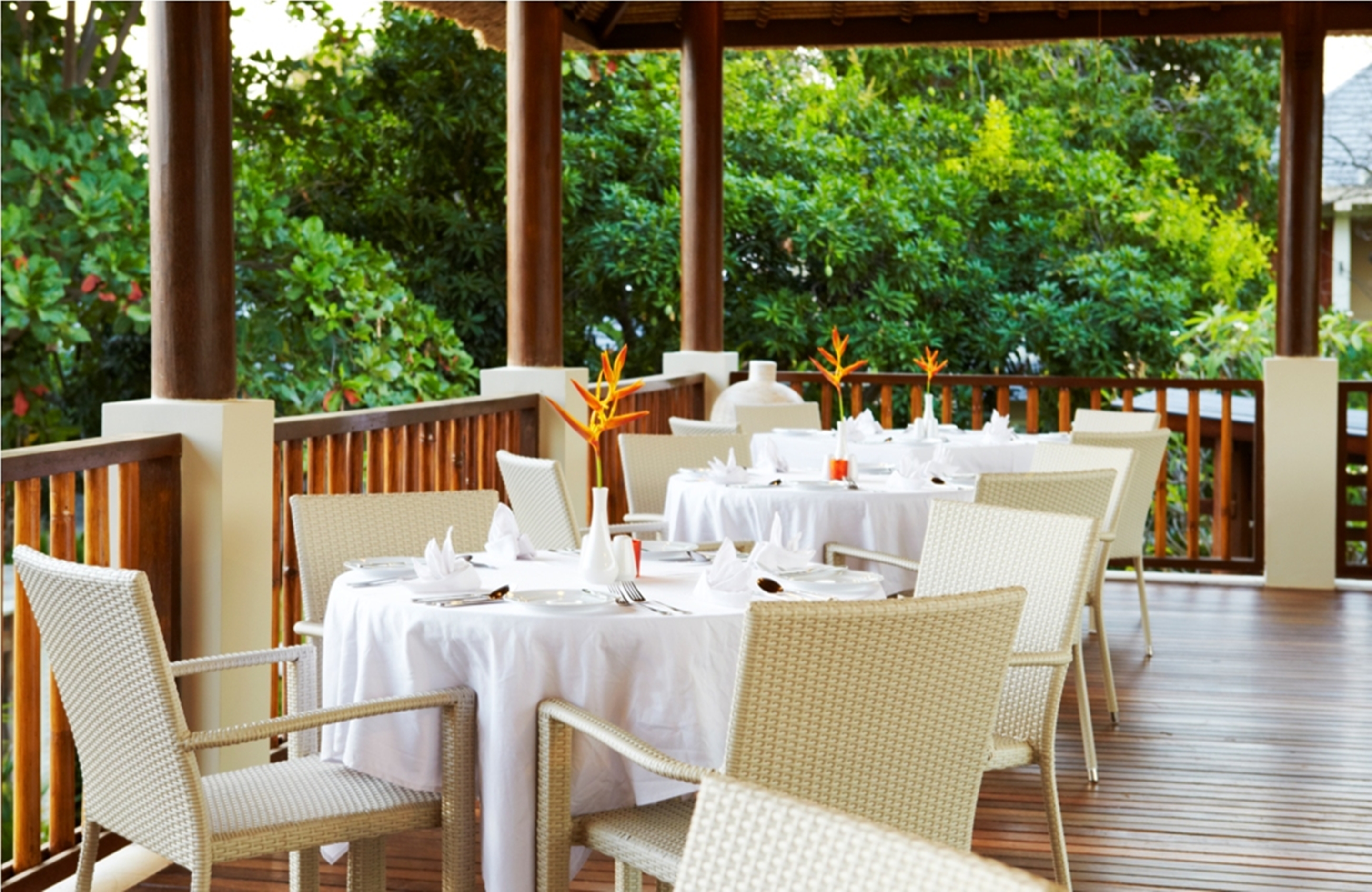 The Lovina Bali