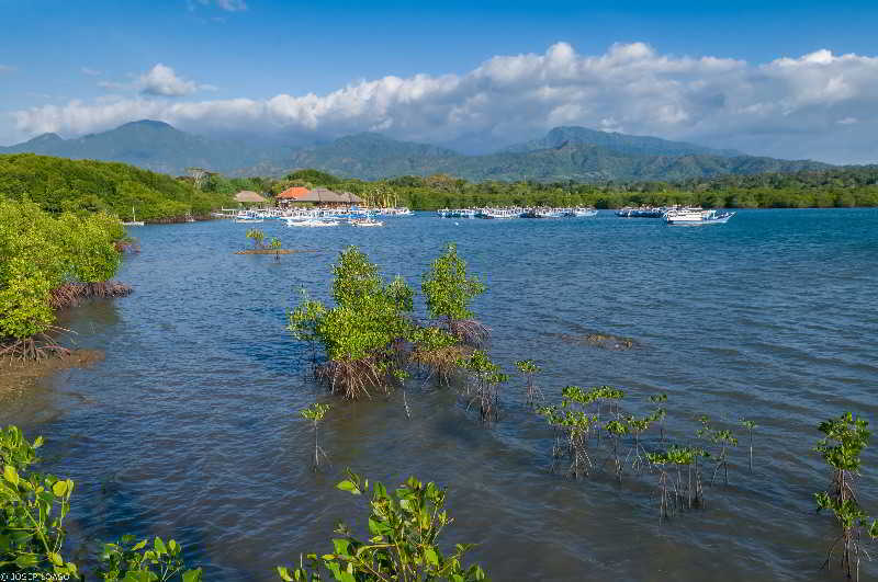 Naya Gawana Resort & Spa