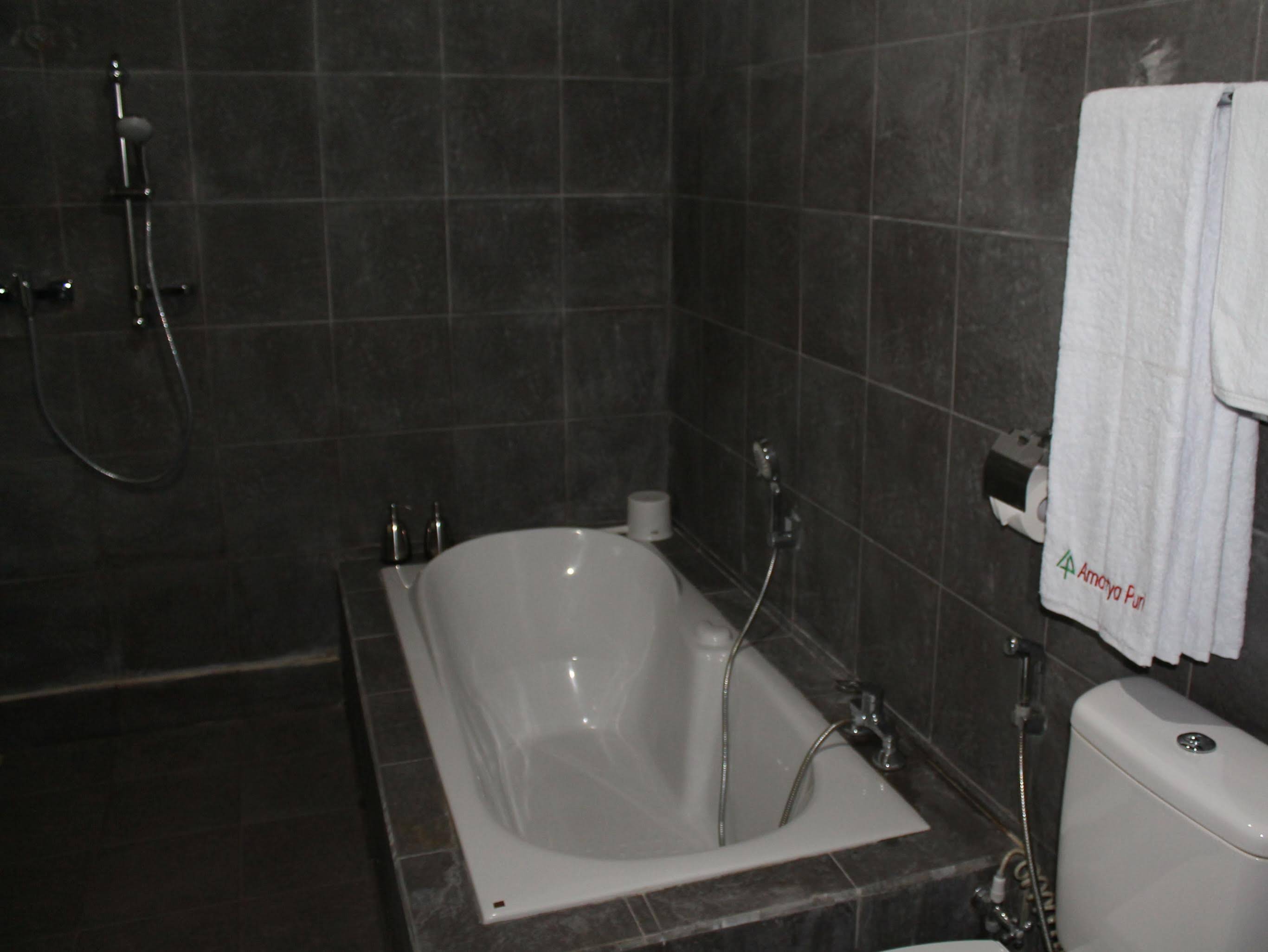 Amartya Puri Green Cottage