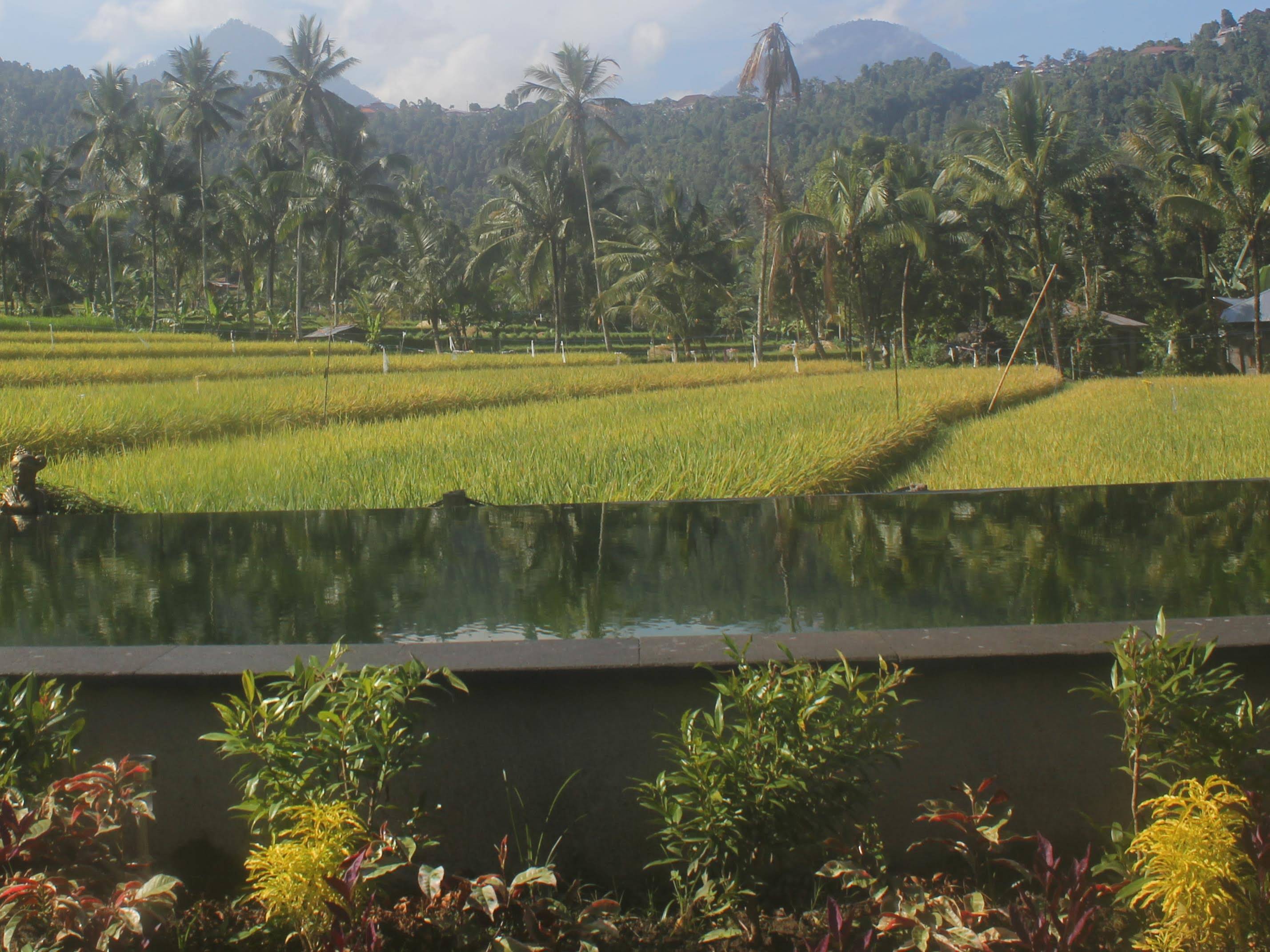 Amartya Puri Green Cottage