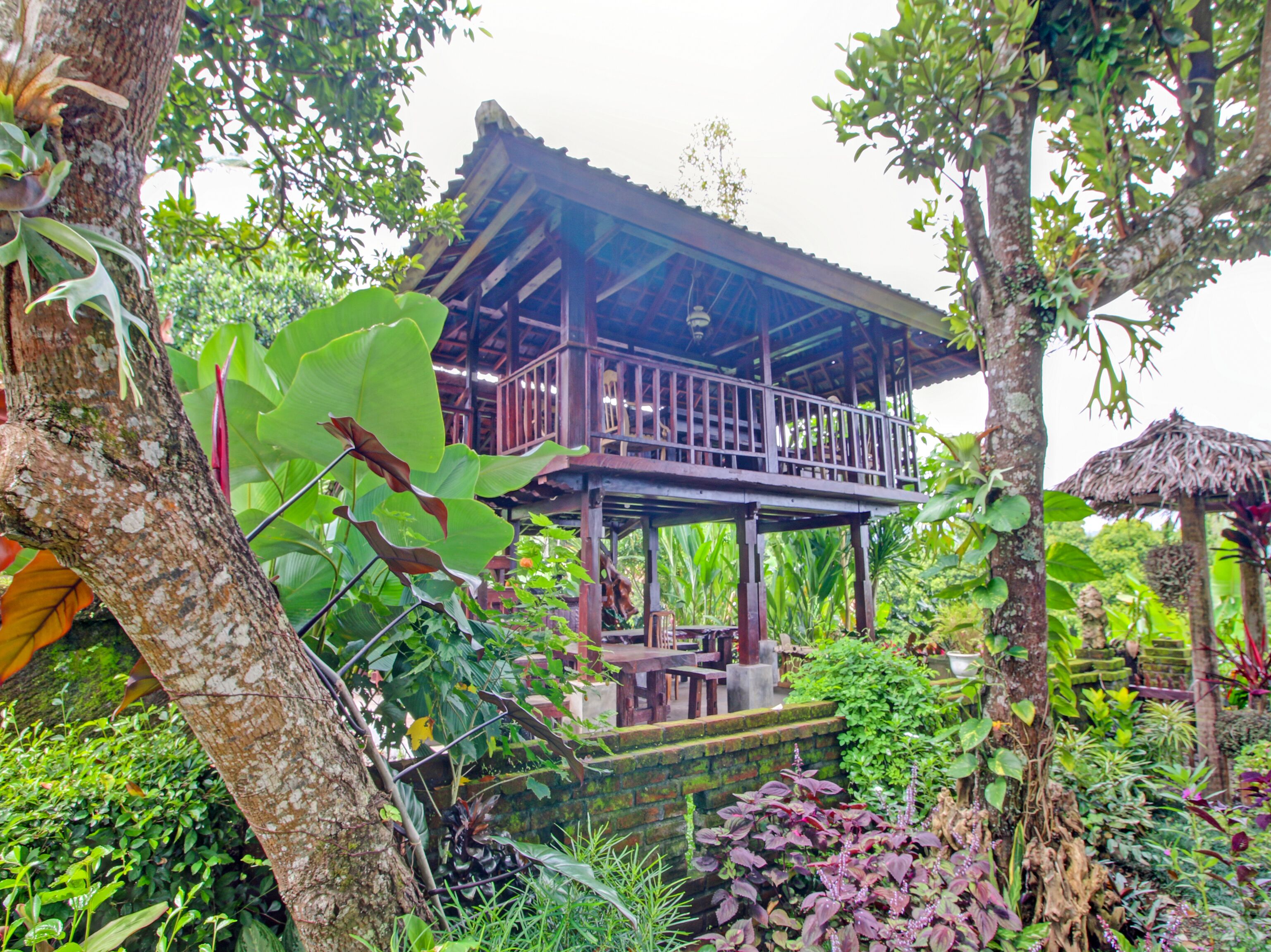 Desa Wisata Umejero By Oyo