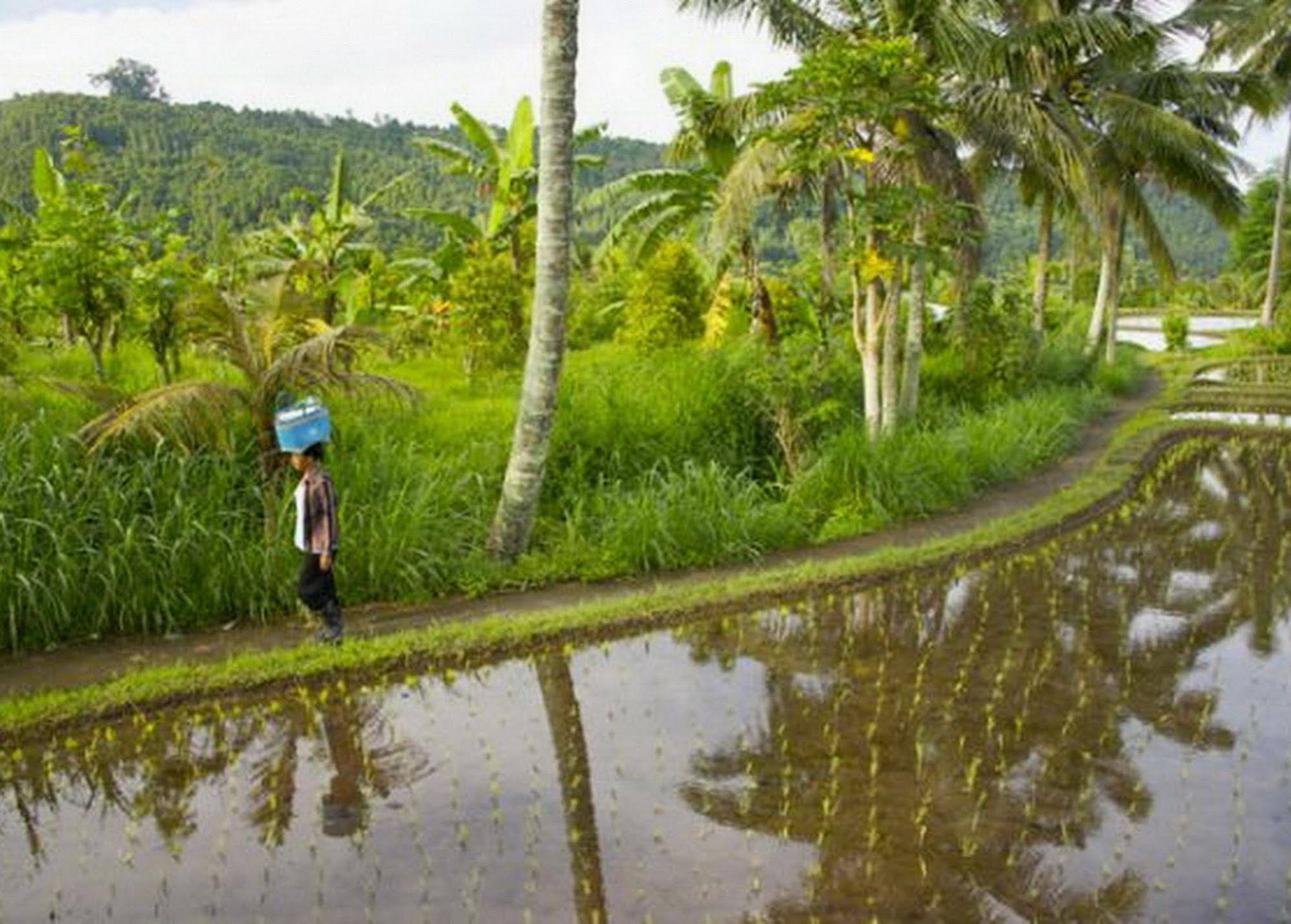 Karang Sari Guesthouse & Restaurant