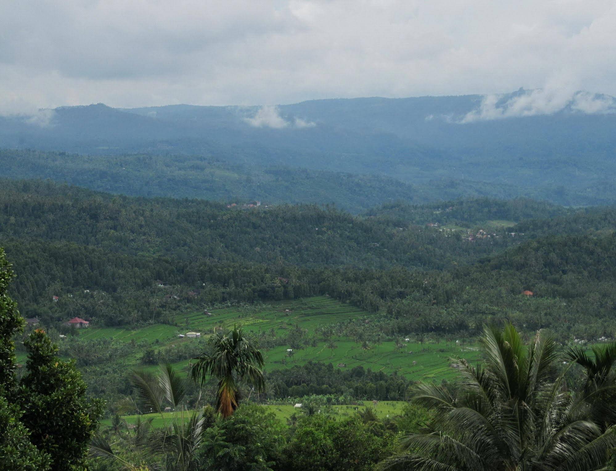 Karang Sari Guesthouse & Restaurant