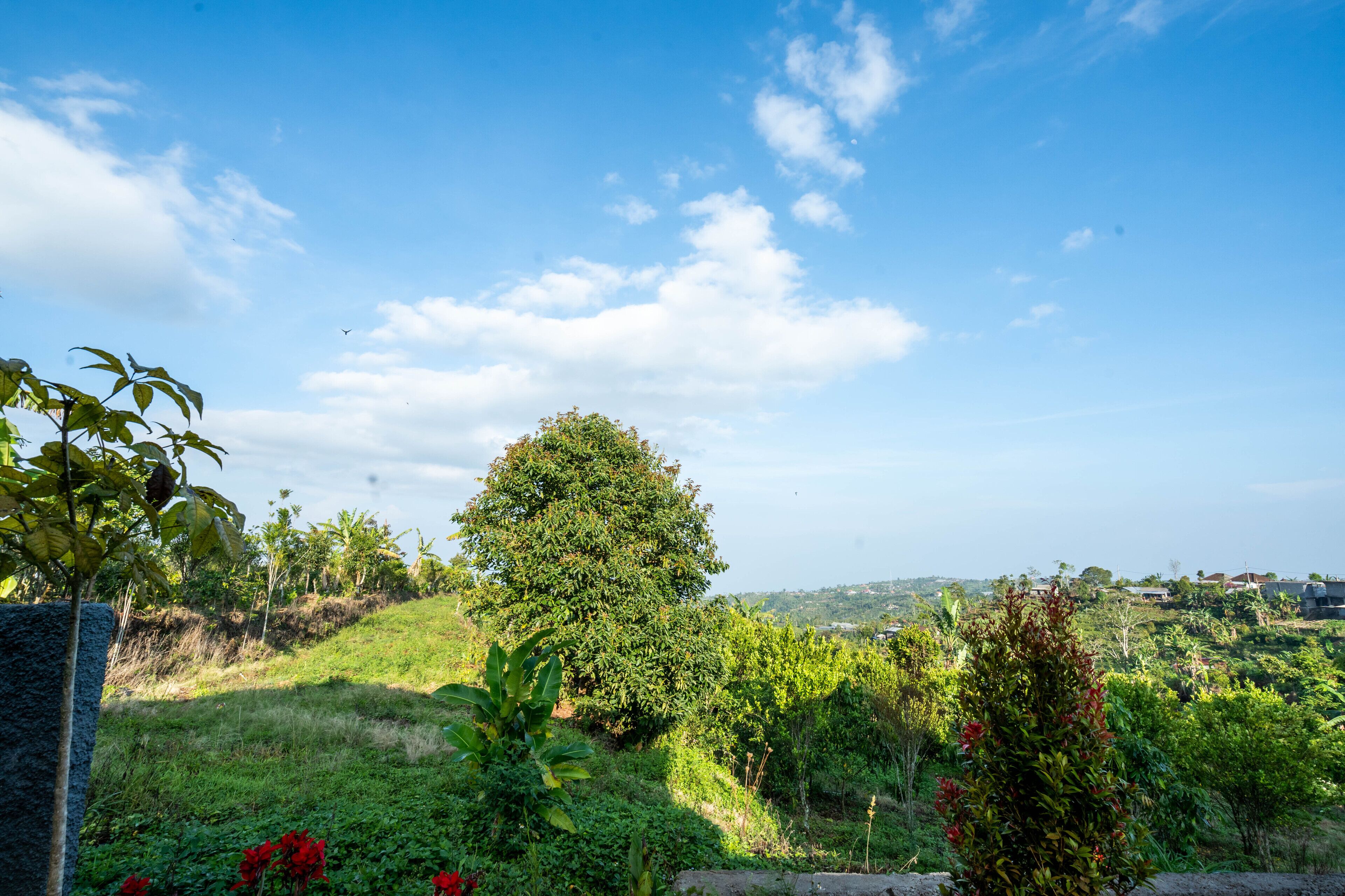 Shankara Munduk Bali