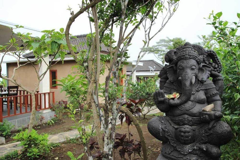Terrasse du Lac Tamblingan