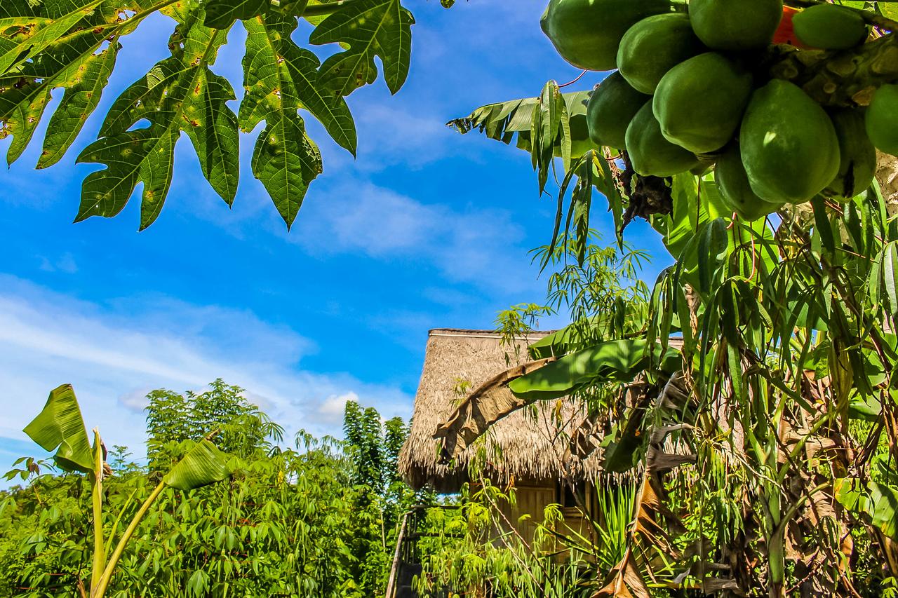 Echo Alam Nusa Lodge
